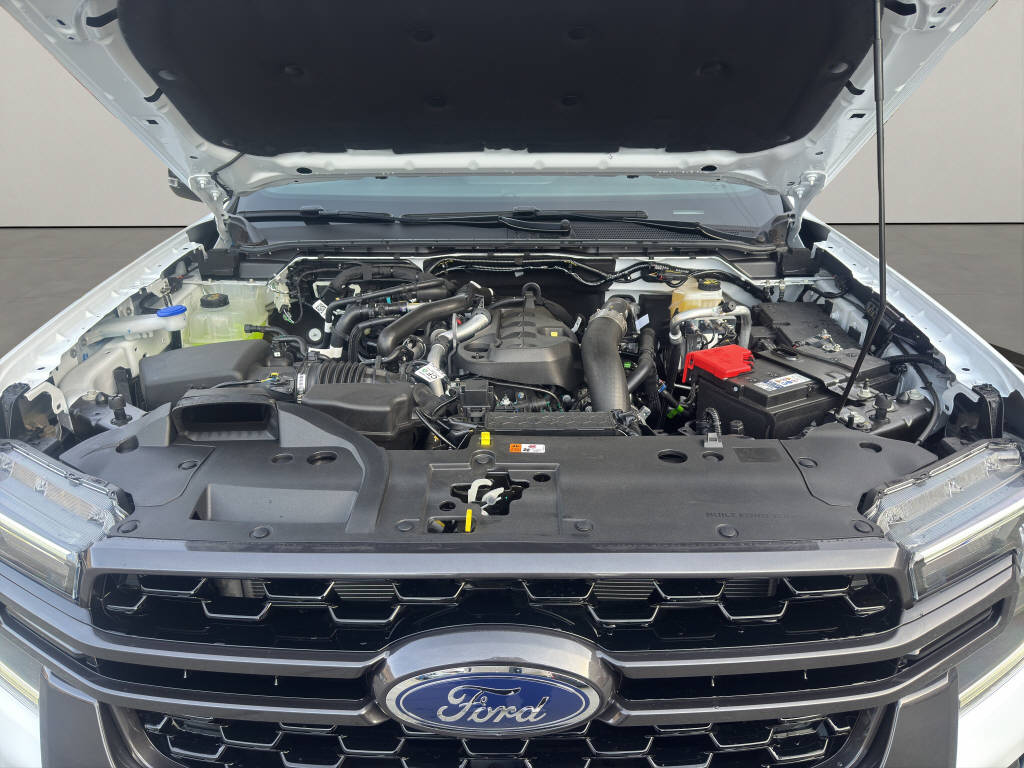 FORD Ranger DKab.Pick-up 2.0 EcoBlue Wildtrak 205 PS-image-19