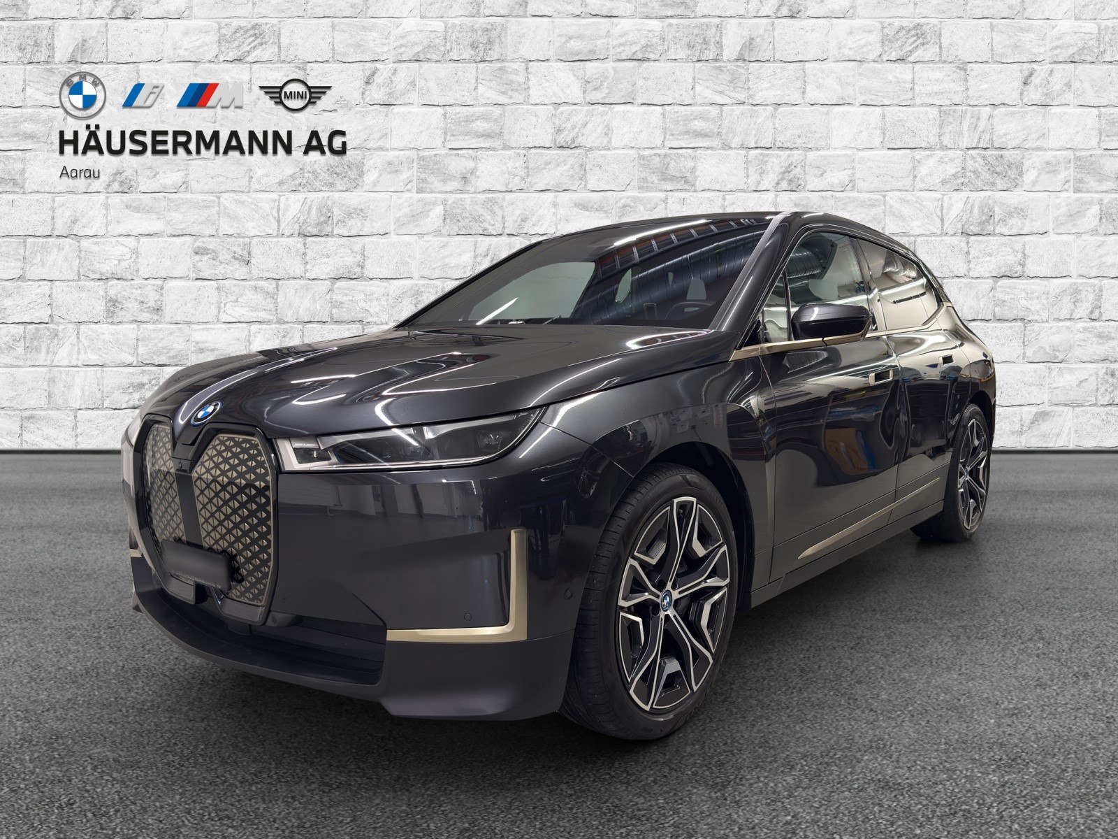 BMW iX xDrive40 Launch Ed.-image-0