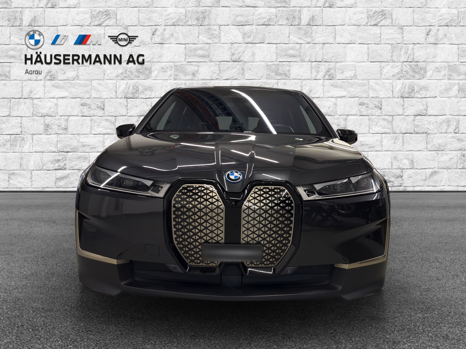 BMW iX xDrive40 Launch Ed.-image-1