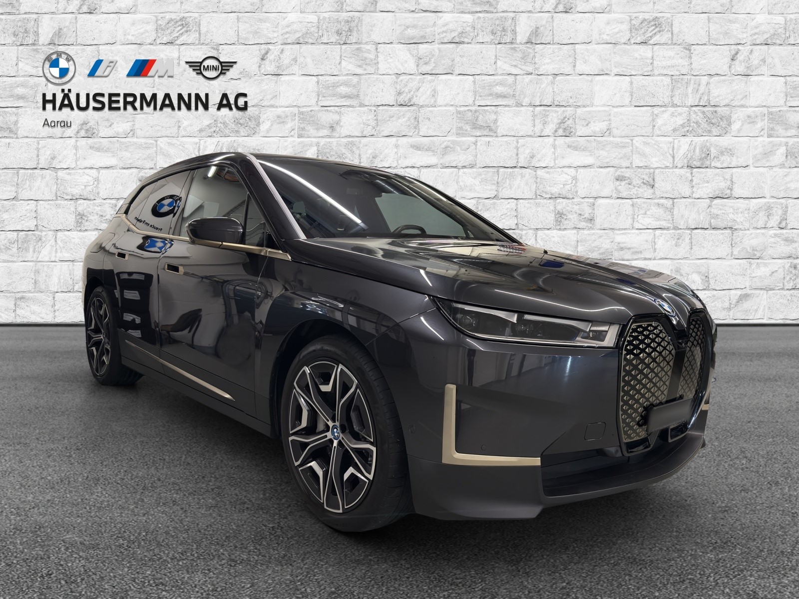 BMW iX xDrive40 Launch Ed.-image-2