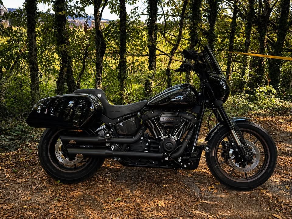 HARLEY-DAVIDSON FXLRS Low Rider S 114-image-1