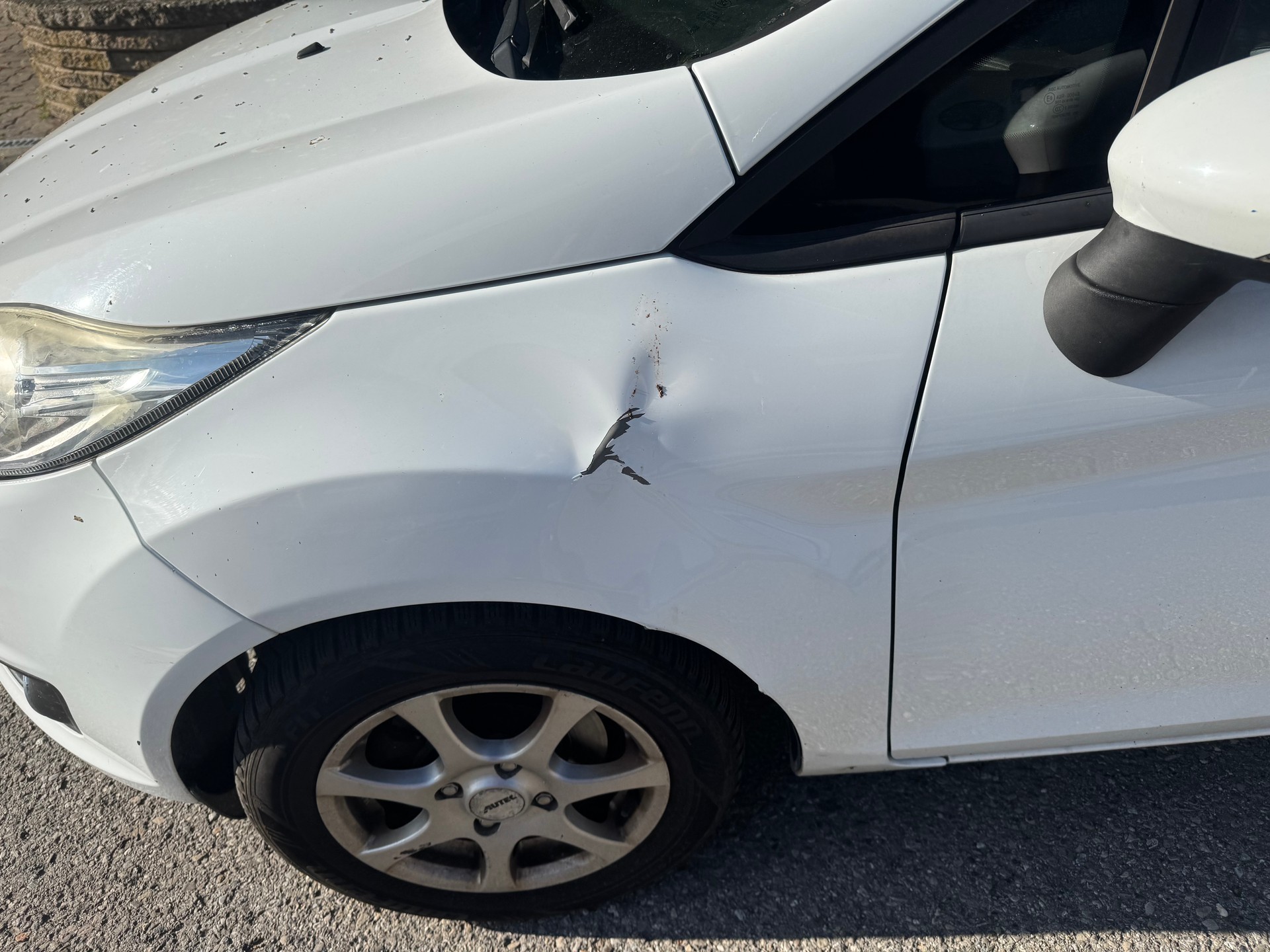 FORD Fiesta 1.0 SCTi Freetech-image-5