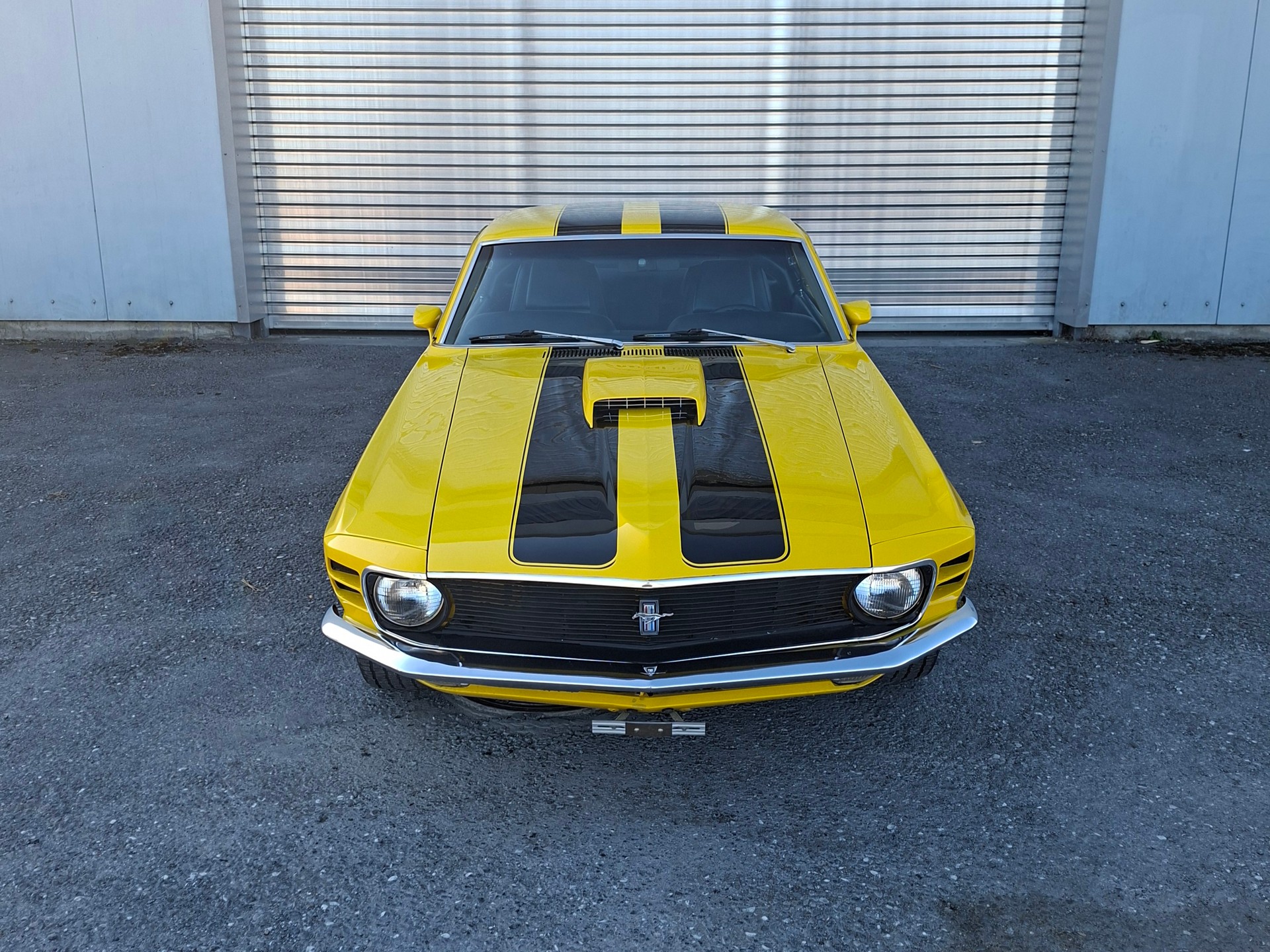 FORD Mustang Mach 1 Fastback 351 cleveland V8 Handgeschalten-image-7