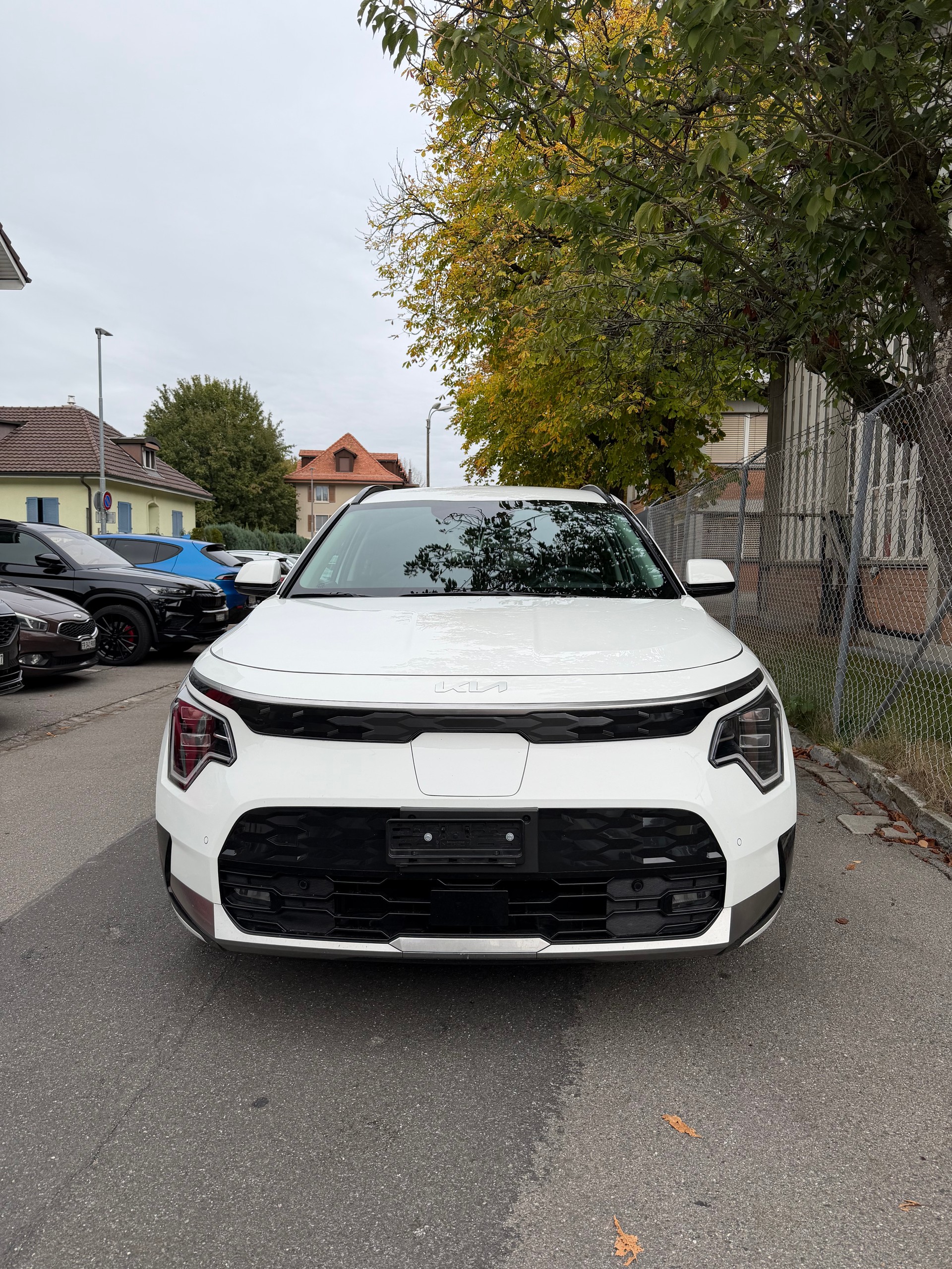KIA Niro EV 64,8 kWh Edition 30-image-1