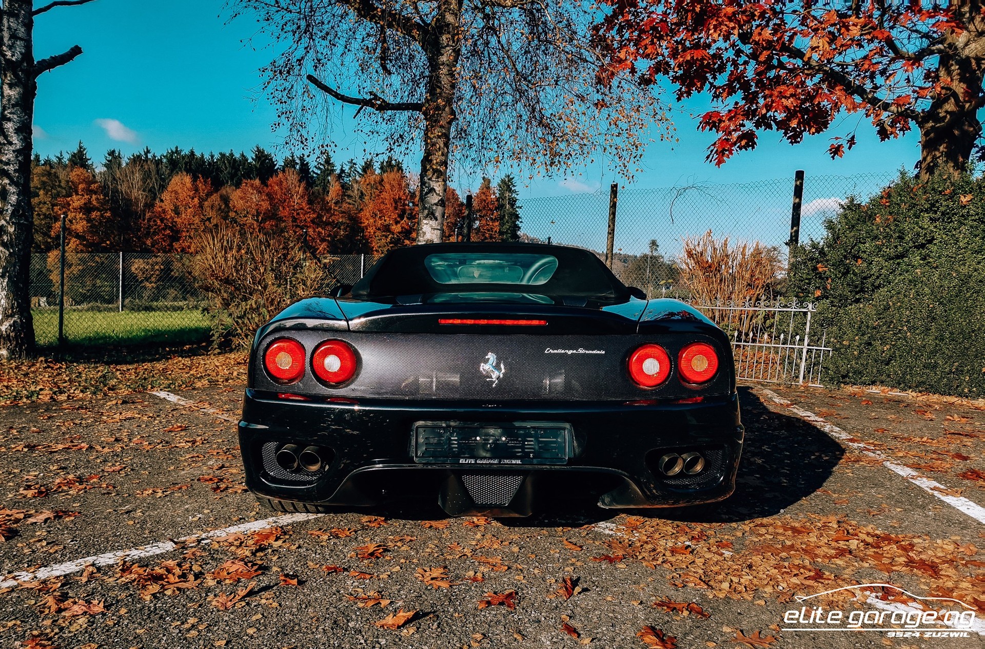 FERRARI F360 Spider Manuell-image-6