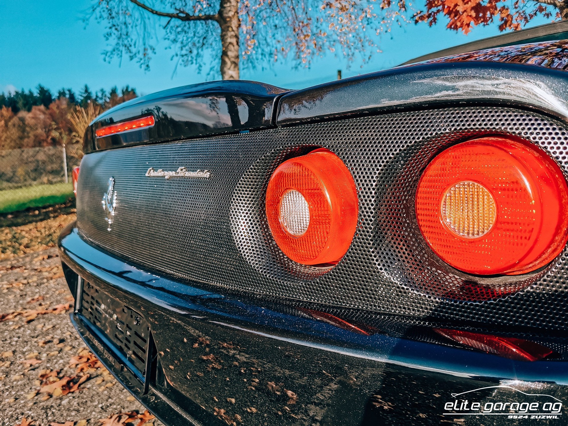 FERRARI F360 Spider Manuell-image-9