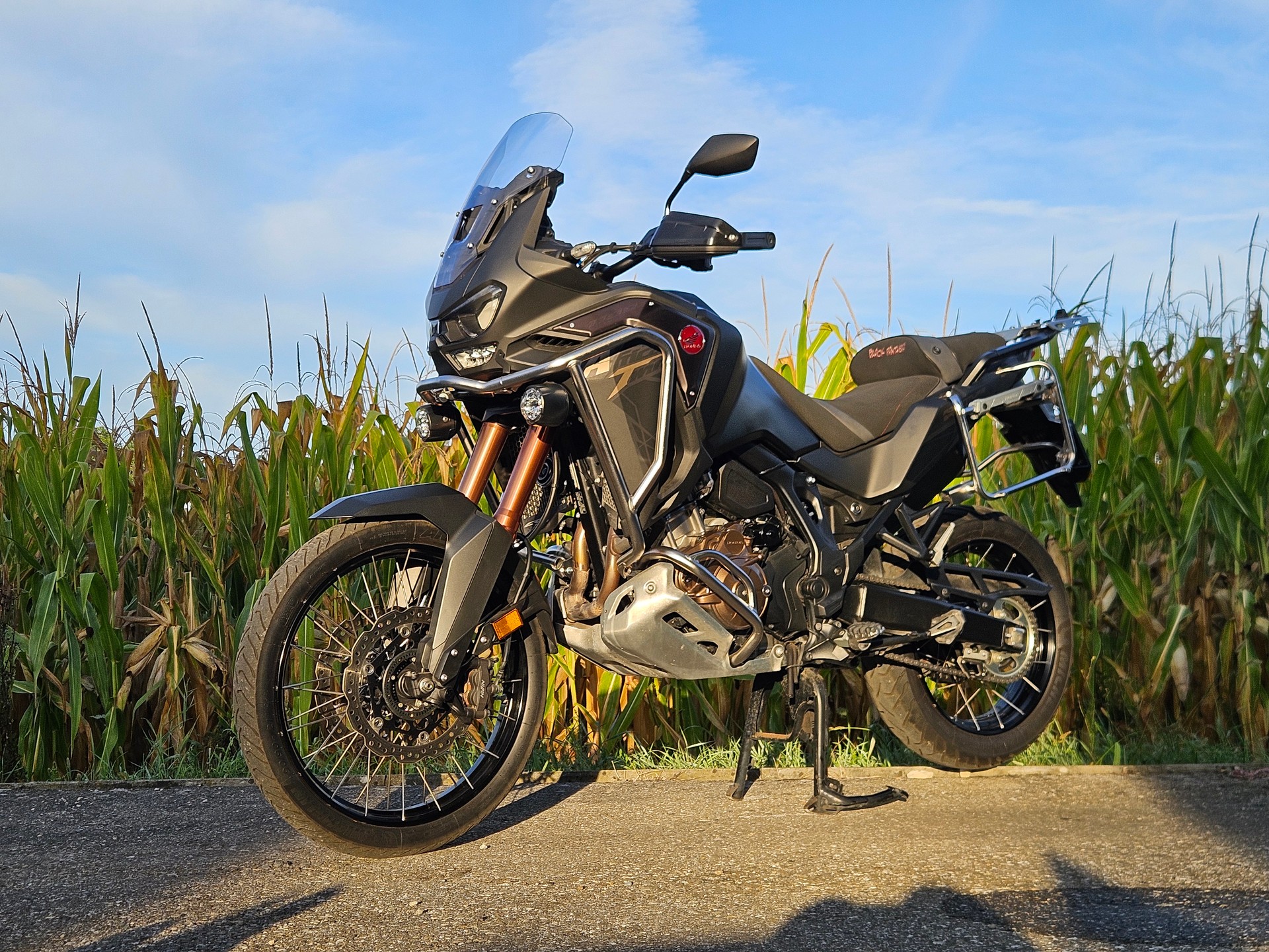 HONDA CRF1100 D4-image-2