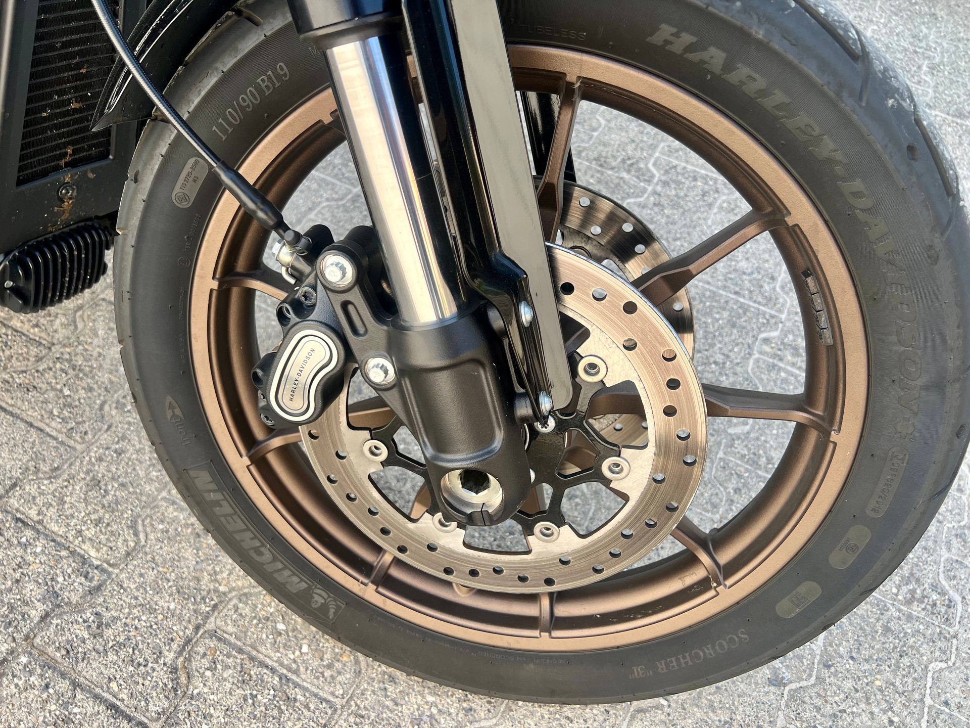 HARLEY-DAVIDSON FXLRS Low Rider S 117-image-10
