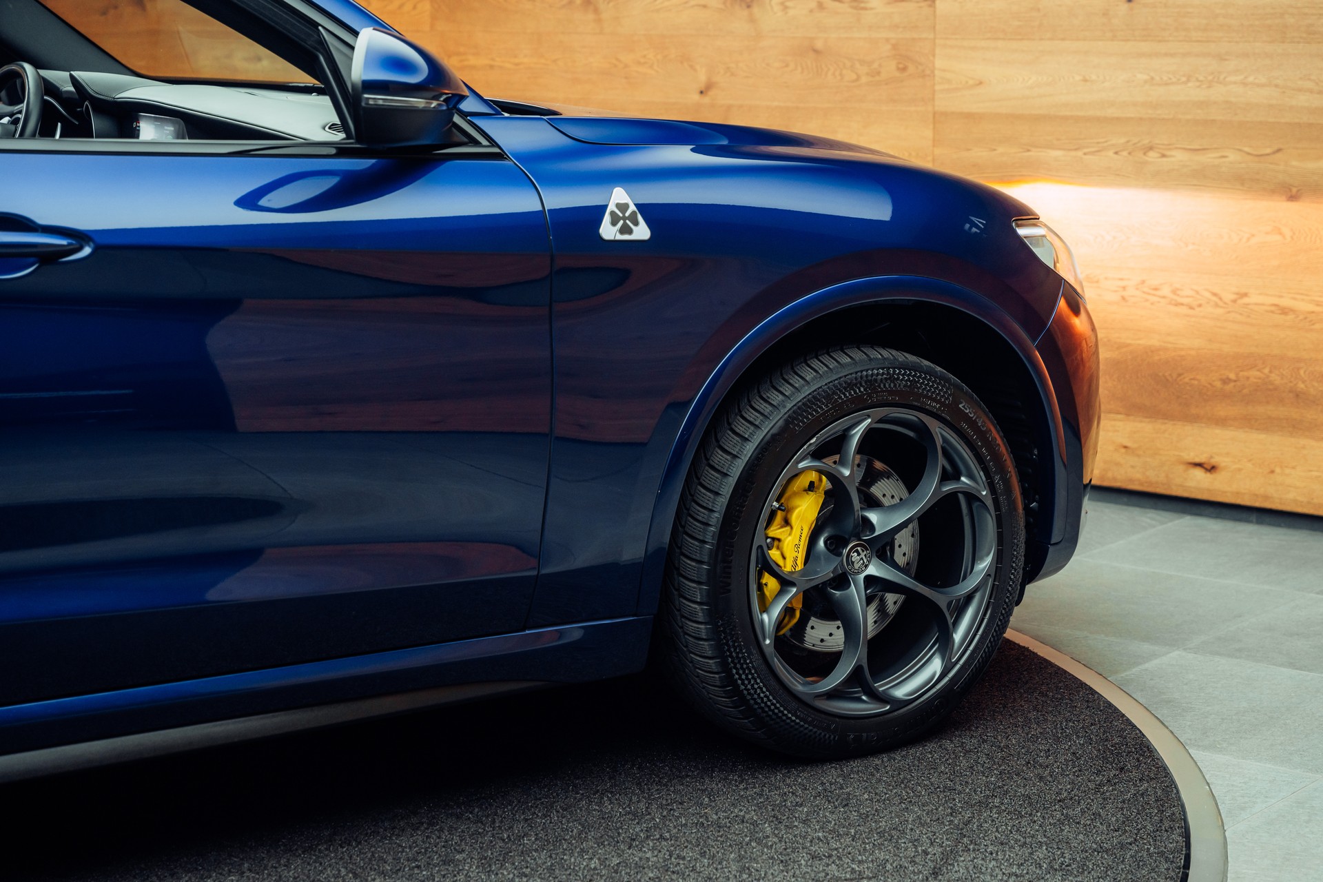 ALFA ROMEO Stelvio 2.9 V6 Quadrifoglio Q4 Automatic-image-19