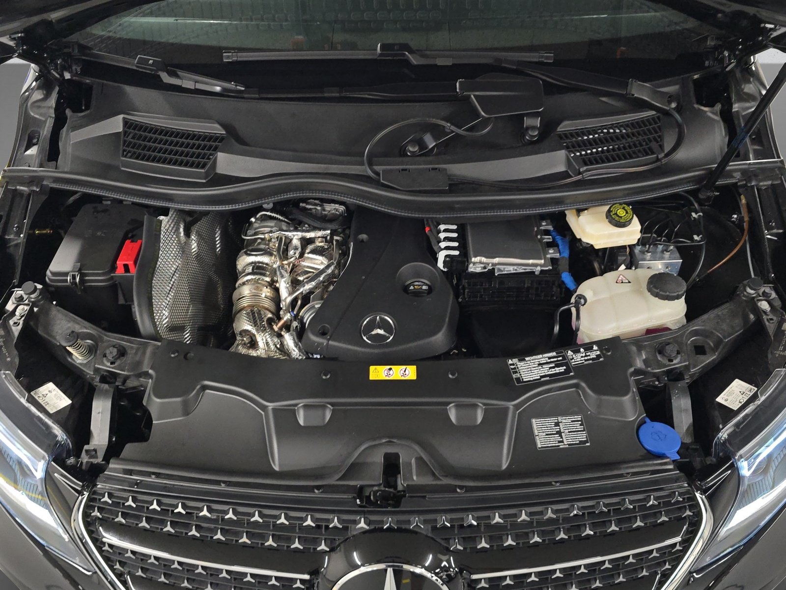 MERCEDES-BENZ V 300 d Exclusive Swiss Edition 4Matic Lang-image-9
