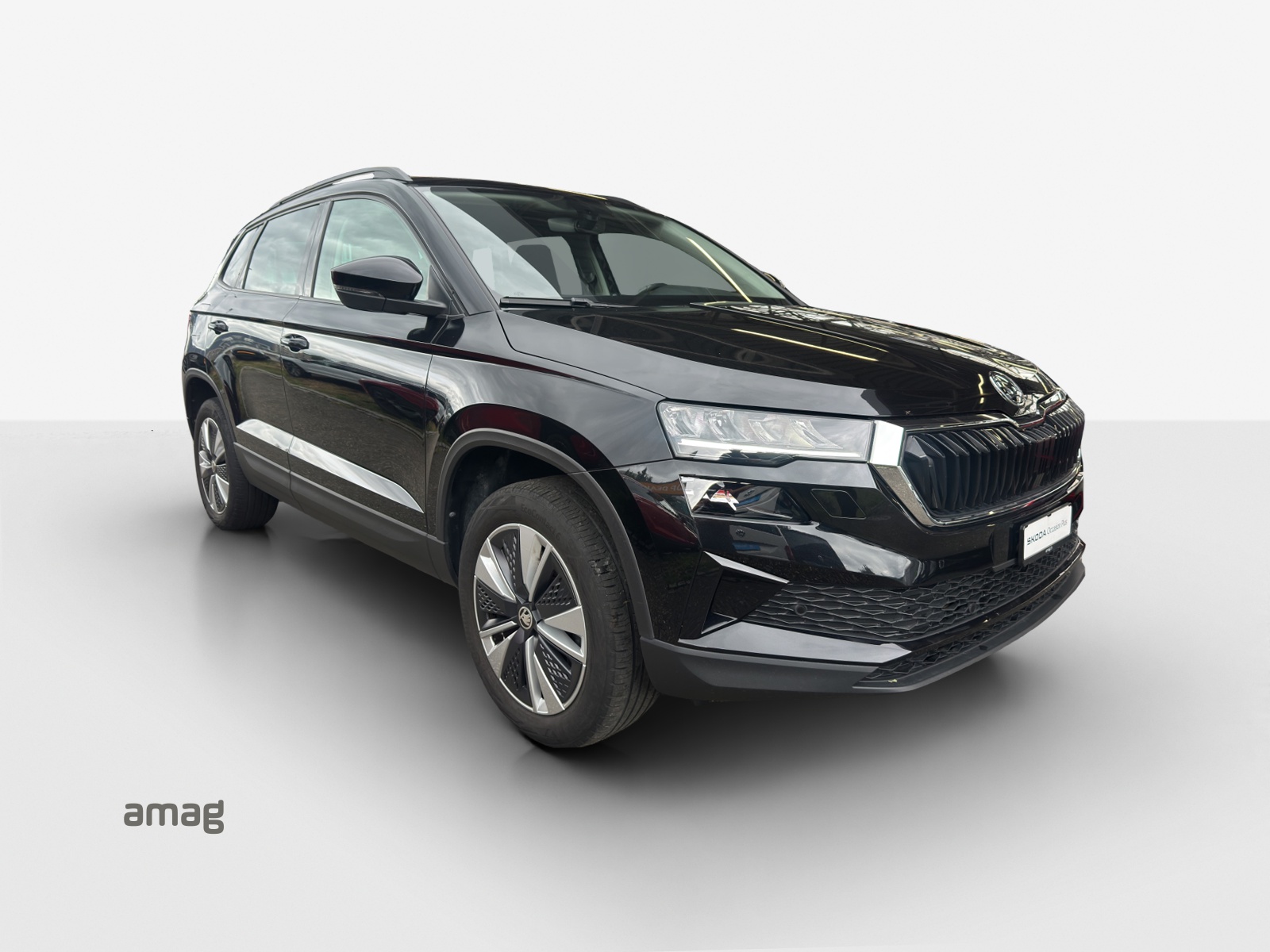 SKODA Karoq 1.5 TSI Ambition DSG-image-5