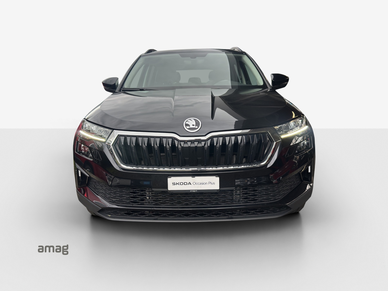 SKODA Karoq 1.5 TSI Ambition DSG-image-6