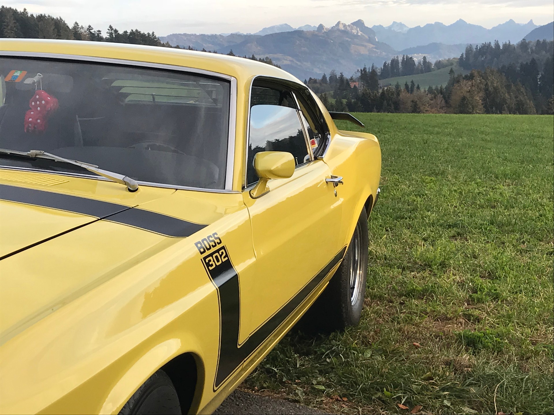 FORD Boss 302-image-6