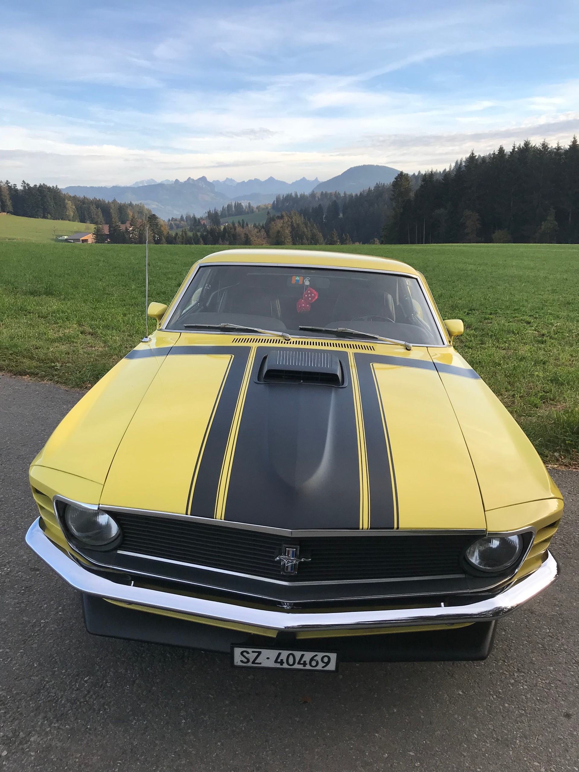 FORD Boss 302-image-4