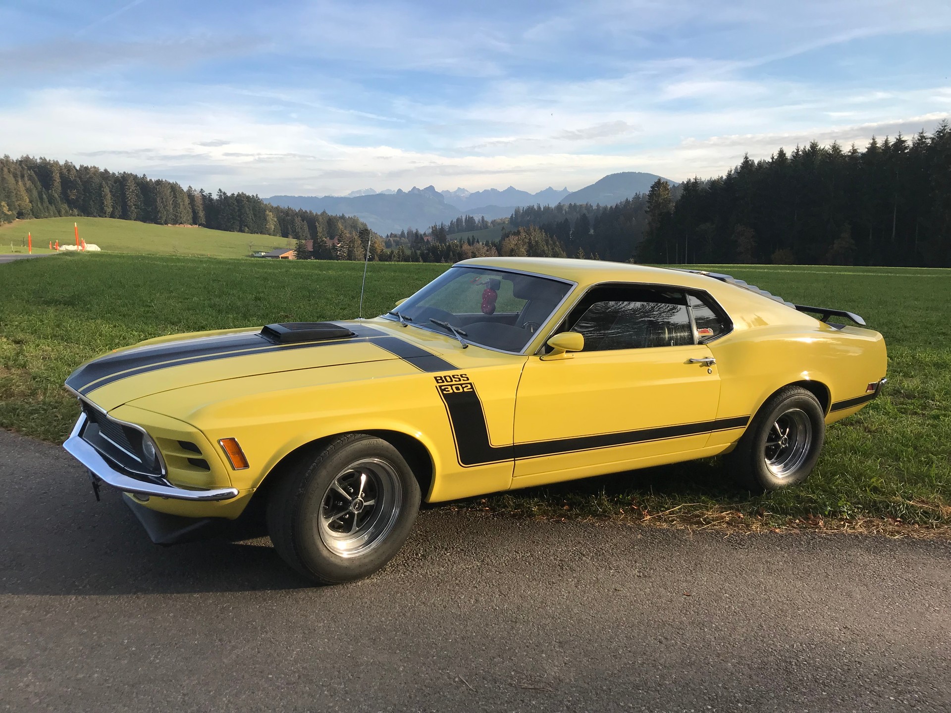 FORD Boss 302-image-0