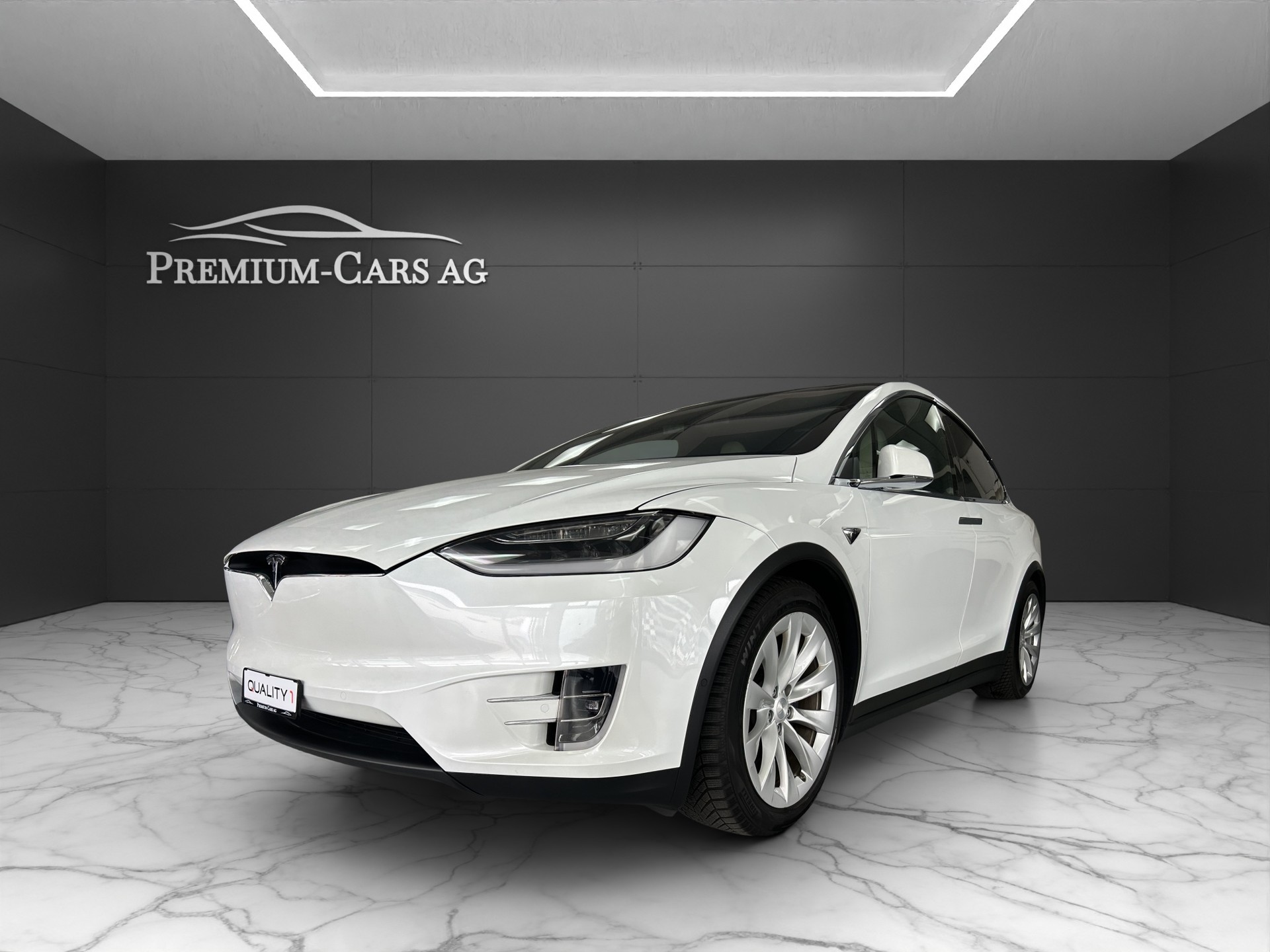 TESLA Model X Maximale-Reichweite 100D Model 2021 PS 572-image-1