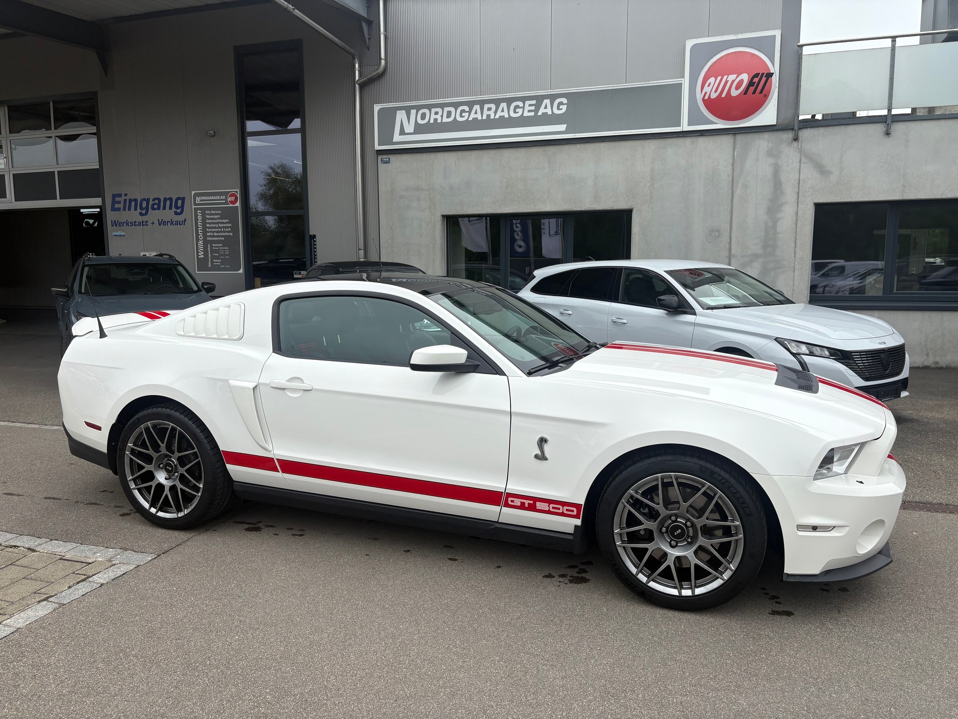 FORD Shelby GT500-image-1