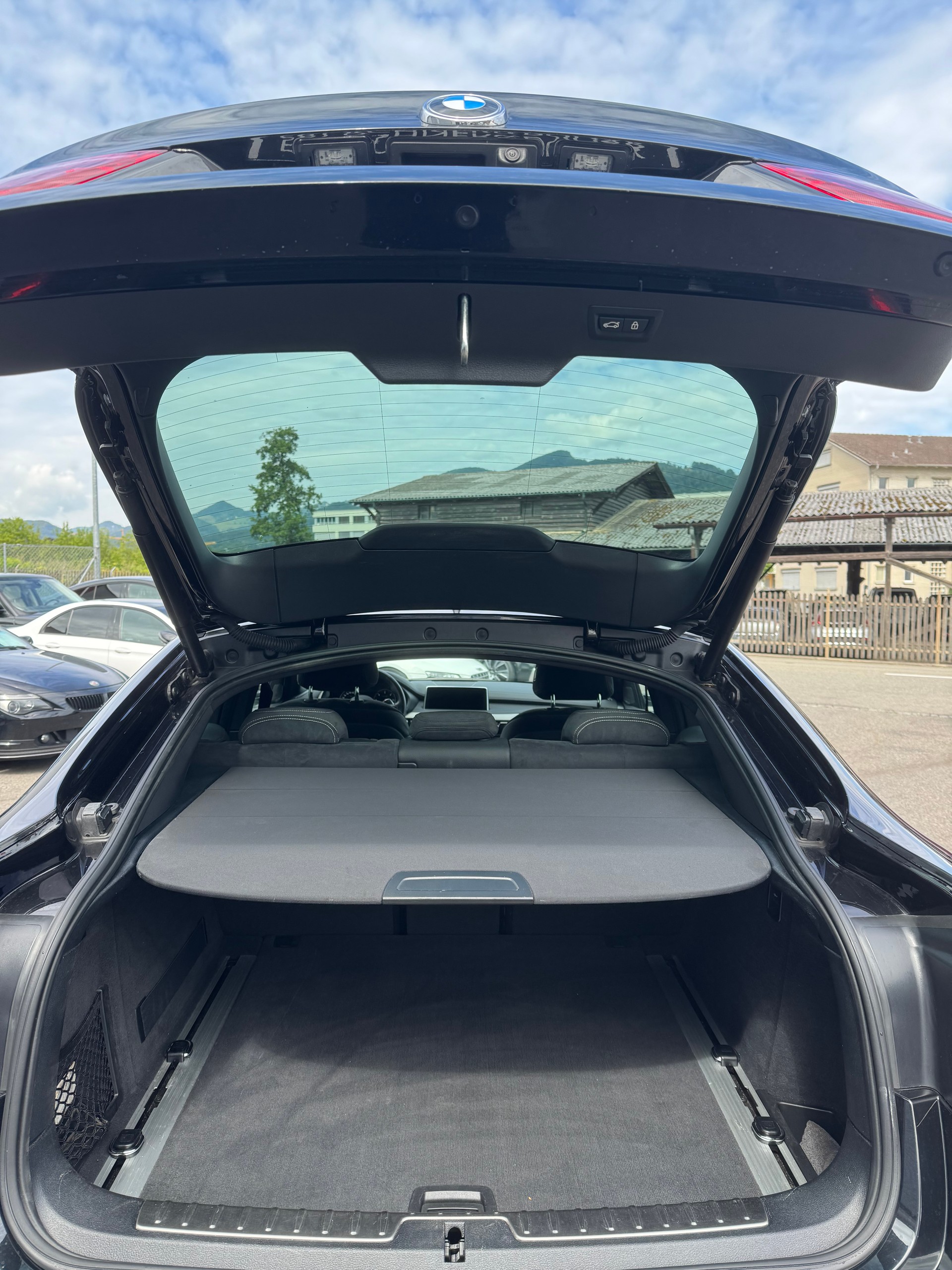 BMW X6 xDrive 30d Pure M Sport Steptronic-image-8