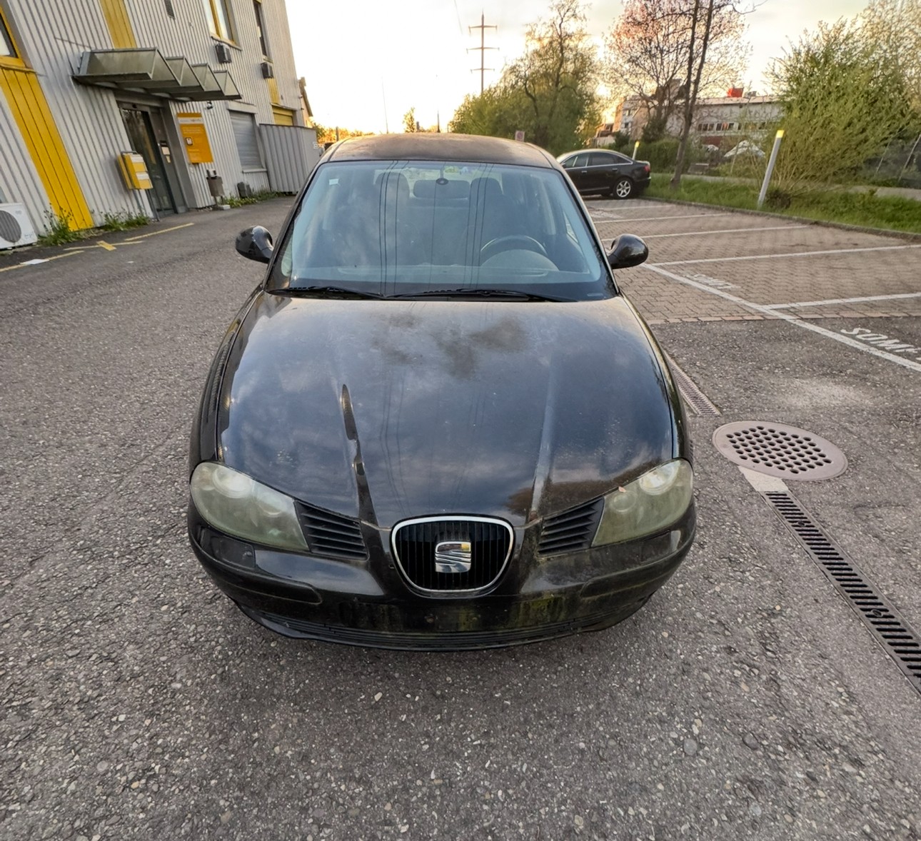SEAT Ibiza 2.0 Sport-image-1