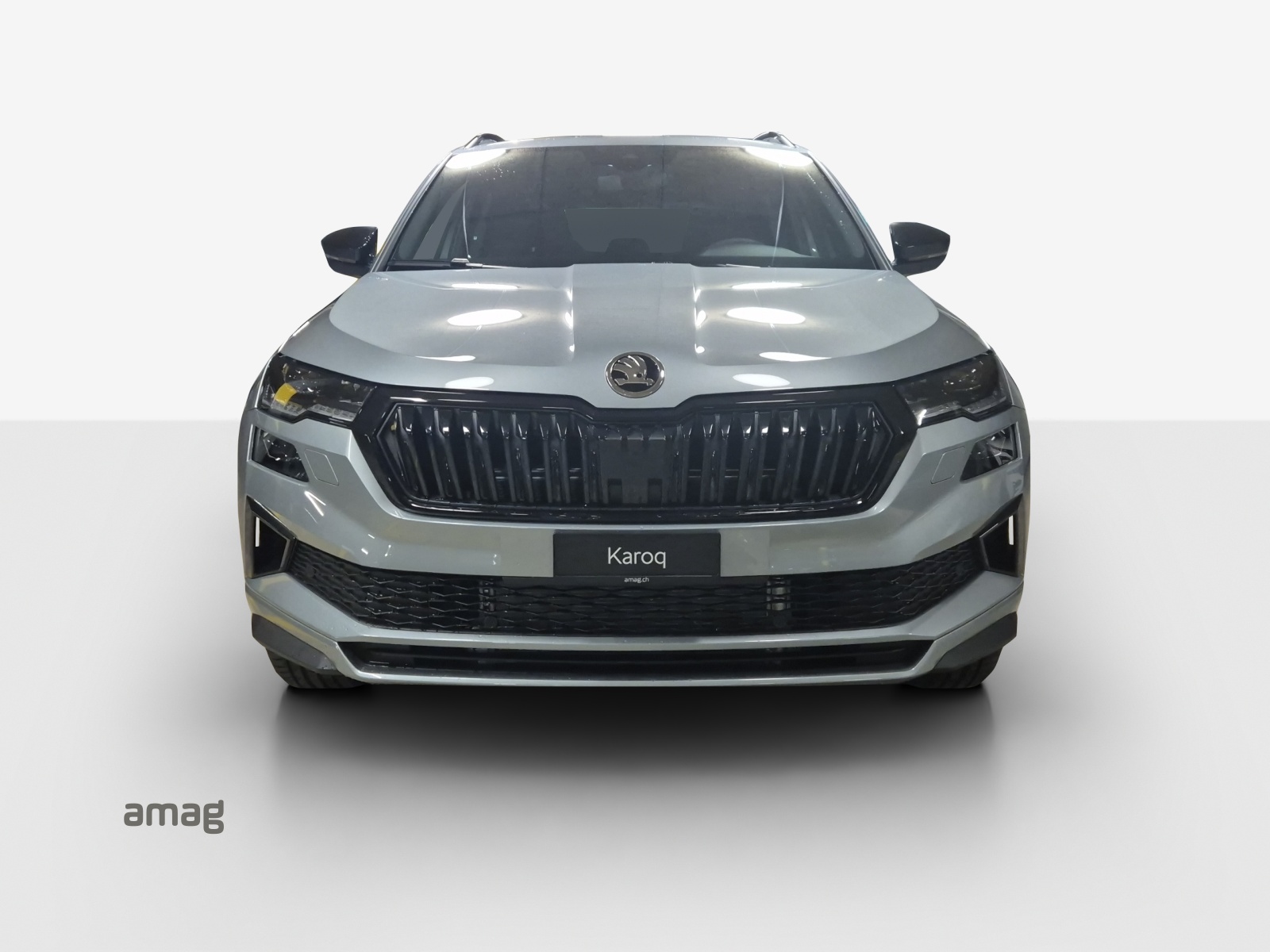 SKODA Karoq 2.0 TSI SportLine 4x4 DSG-image-6