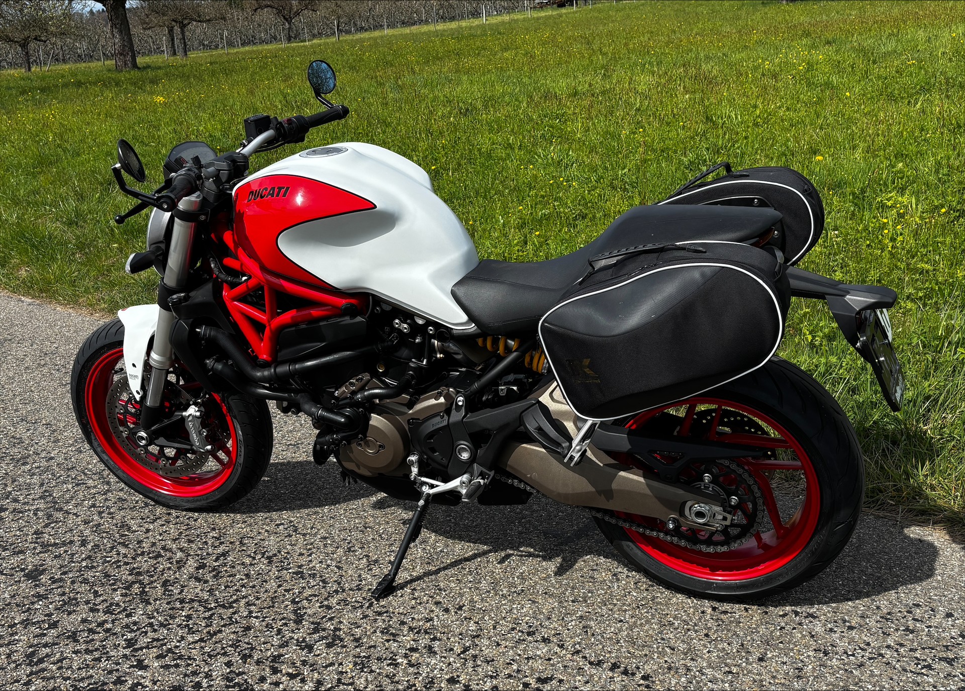 DUCATI Monster 821-image-2