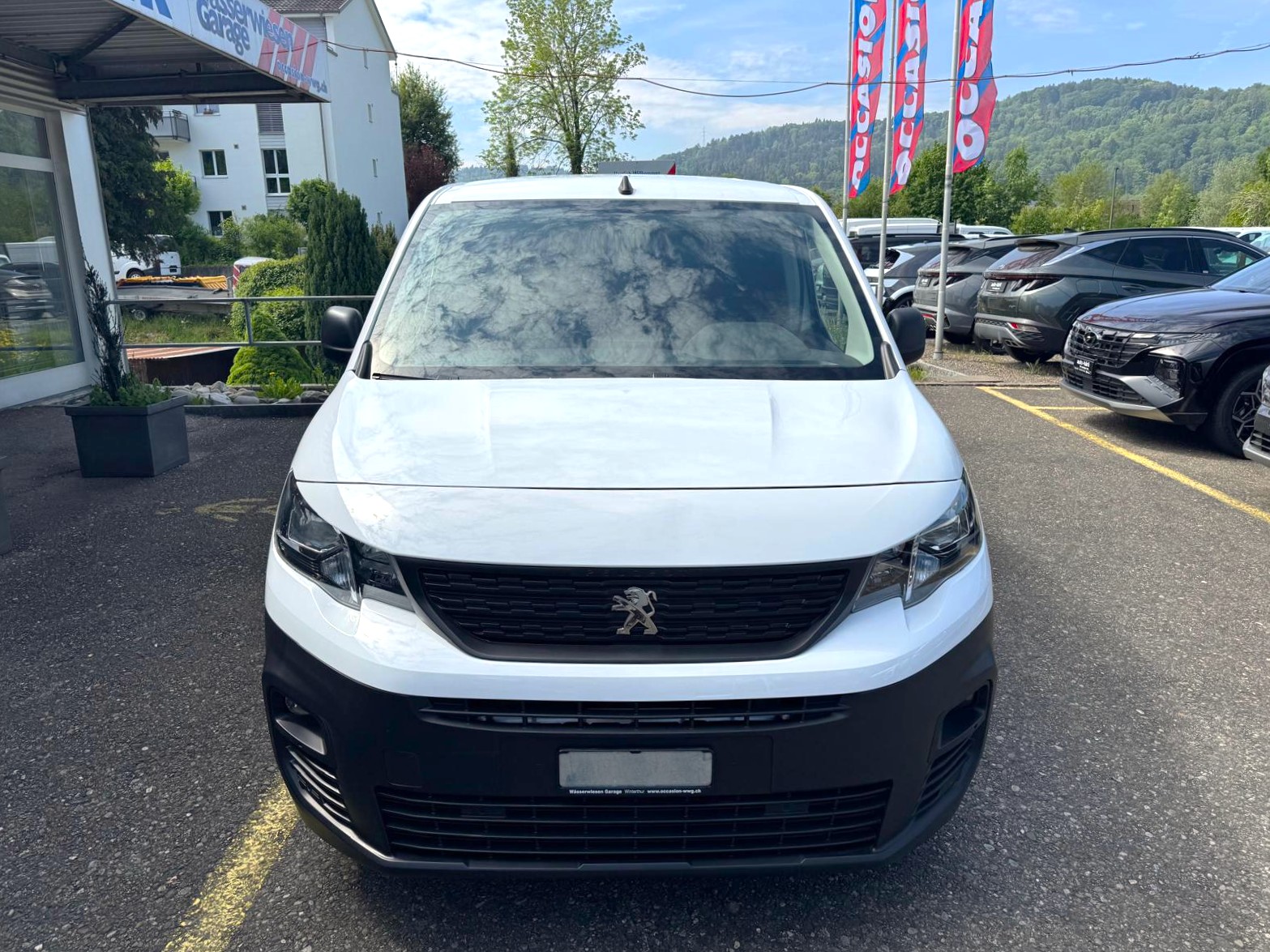 PEUGEOT Blue HDi 75 Pro L1-image-7