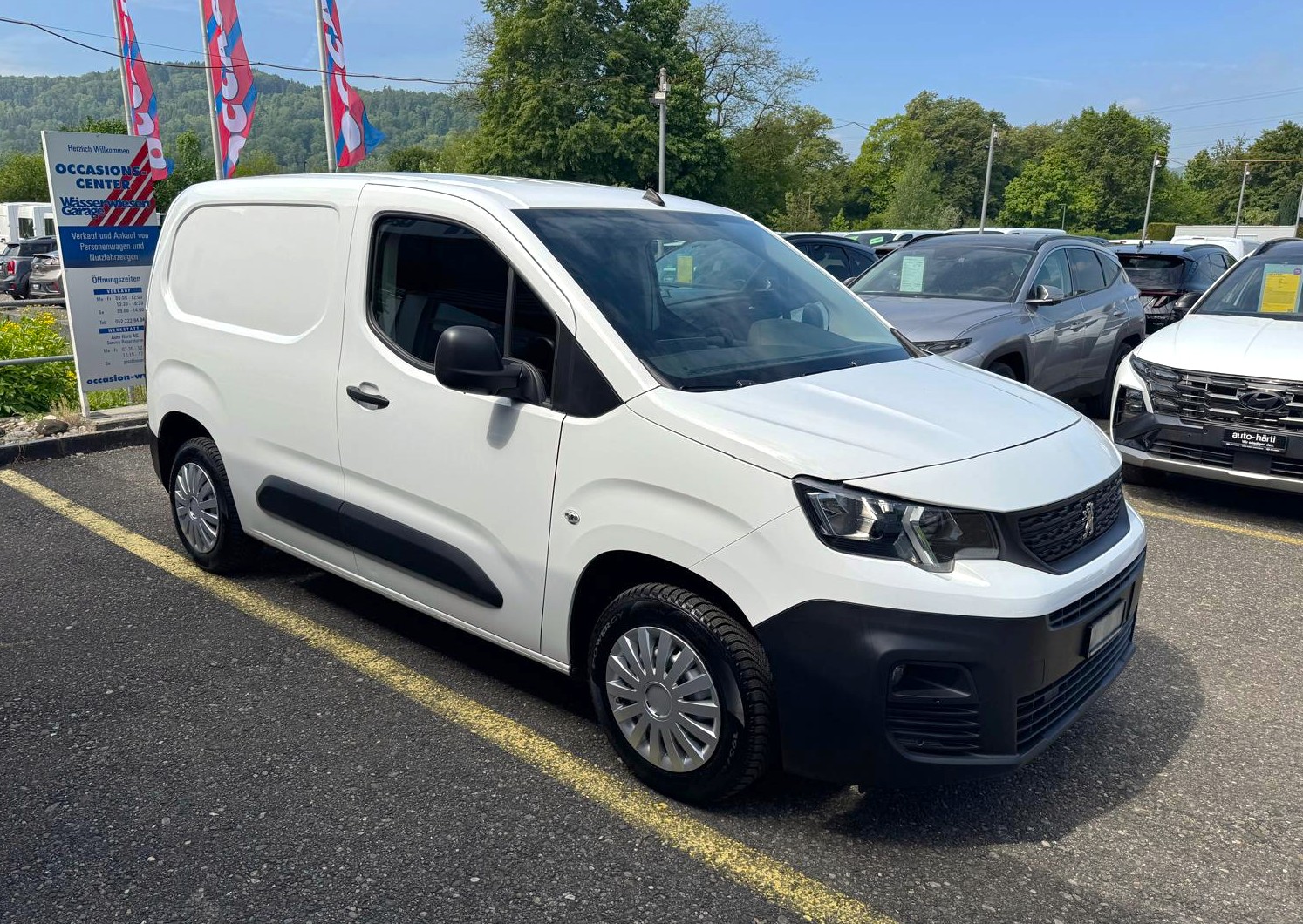 PEUGEOT Blue HDi 75 Pro L1-image-6