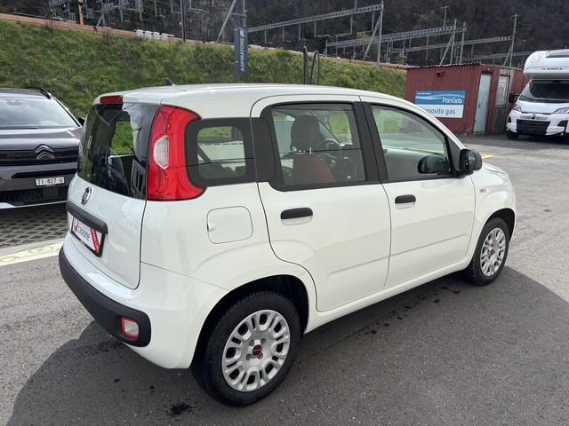 FIAT Panda 1.2 69 Easy con FORNO PIZZA-image-6
