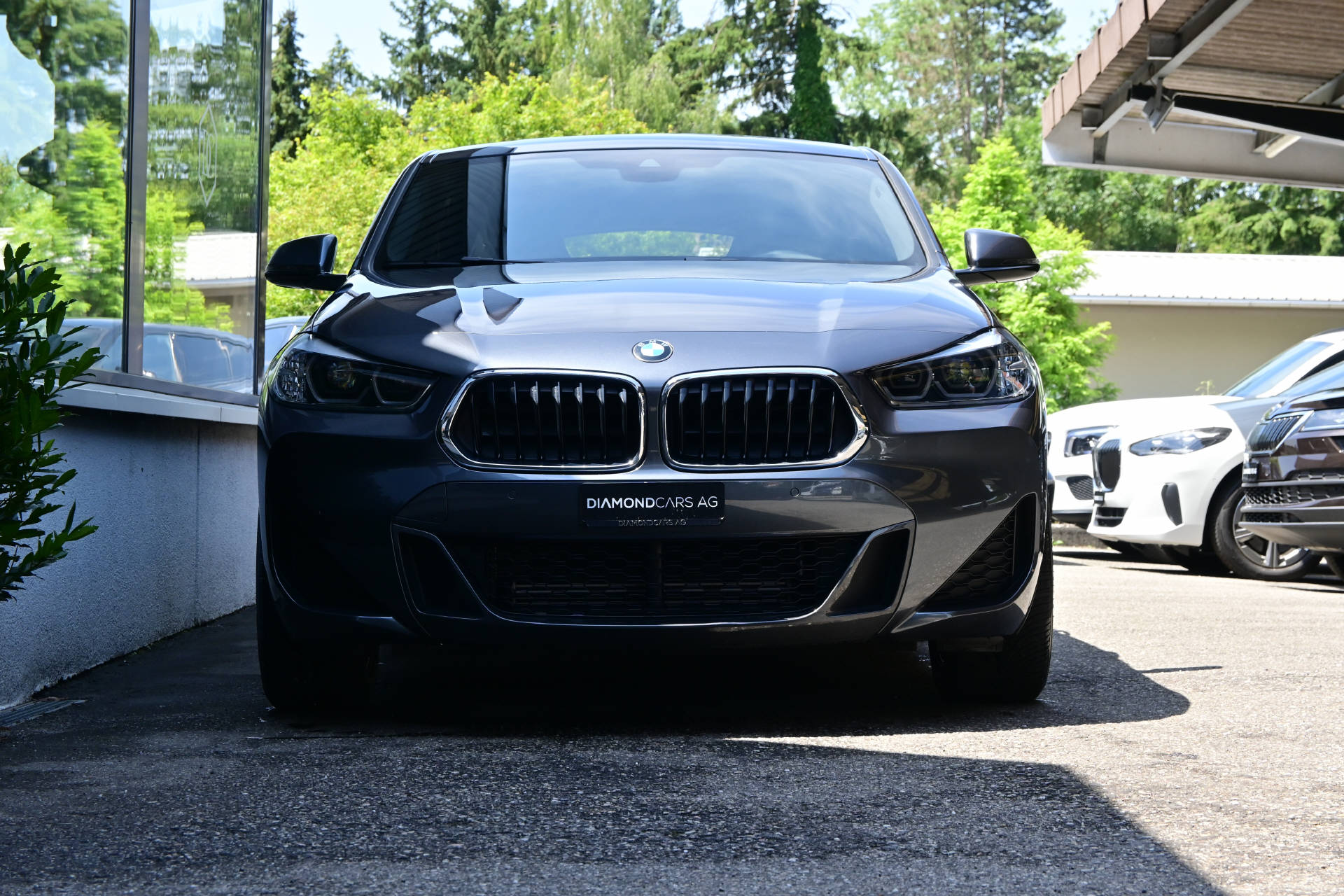 BMW X2 25e xDrive M-Sport-showroom-element-1