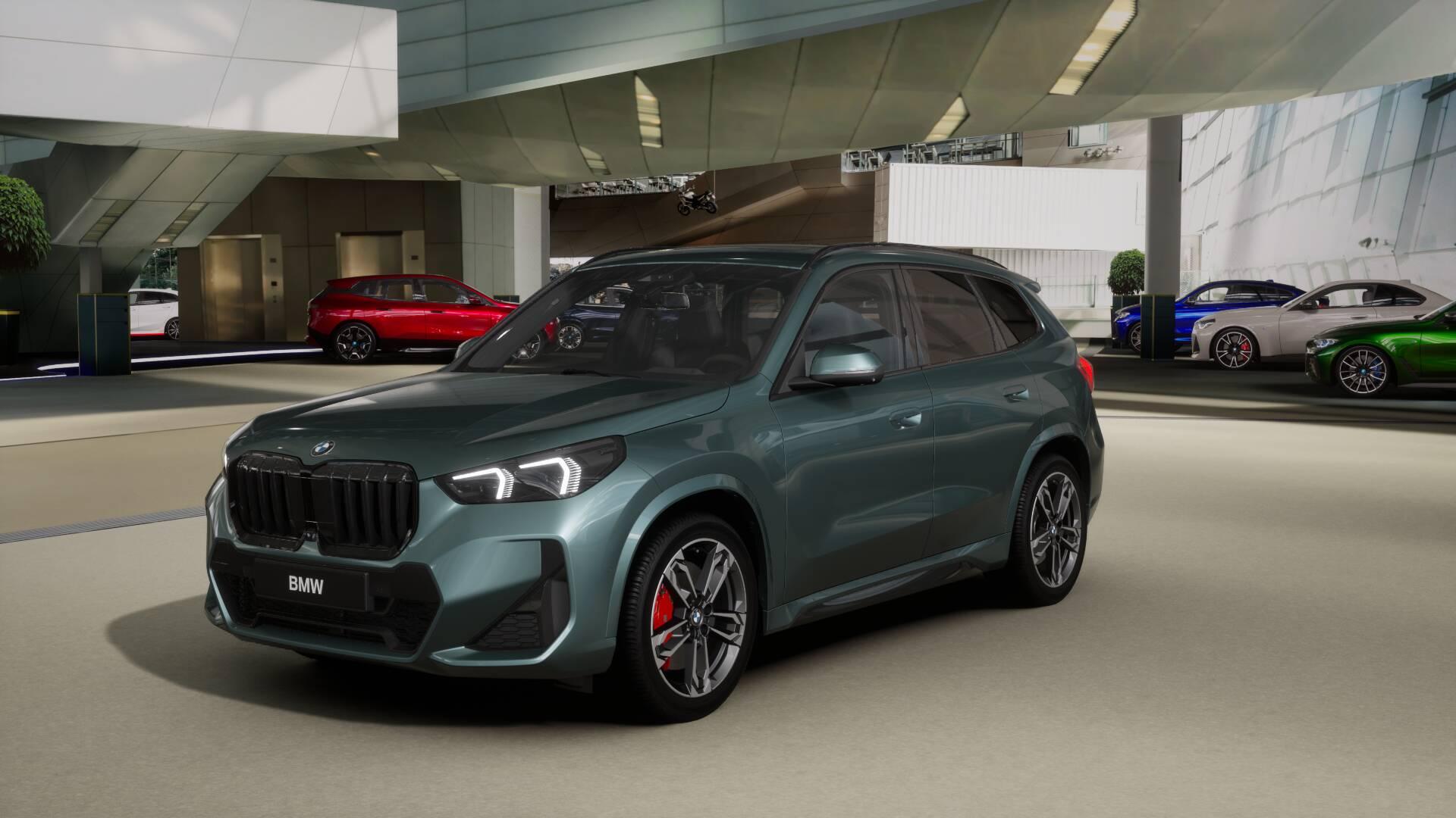 BMW X1 23i xDrive paddles-image-0