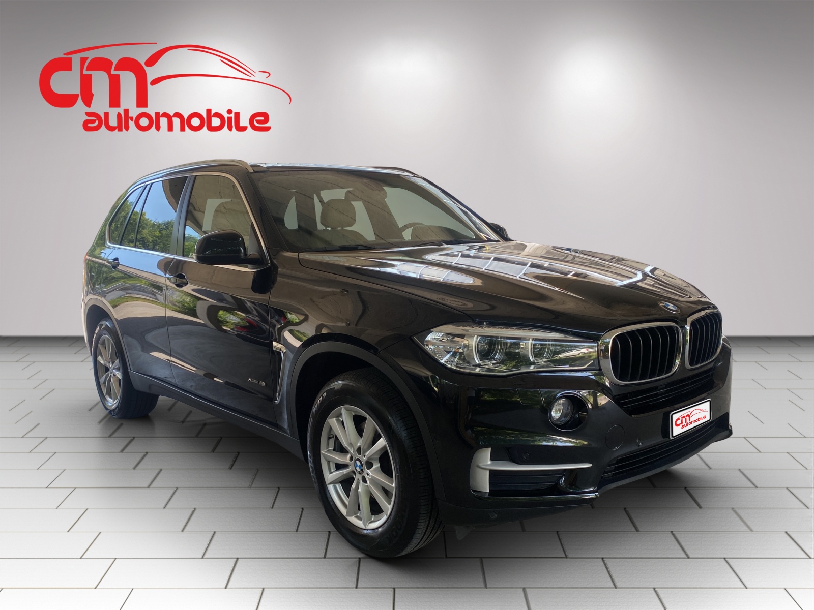BMW X5 xDrive 30d Steptronic-showroom-element-3