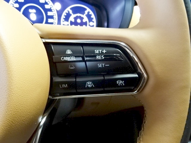 MAZDA CX-60 2.5 PHEV Homura Plus-image-8