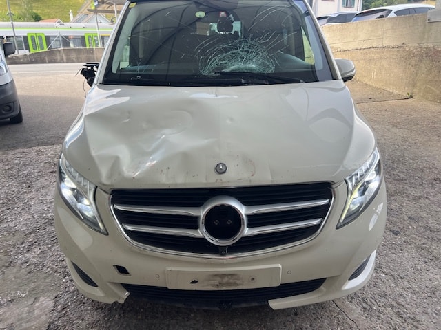 MERCEDES-BENZ Marco Polo 250 d 4Matic 7G-Tronic-image-6