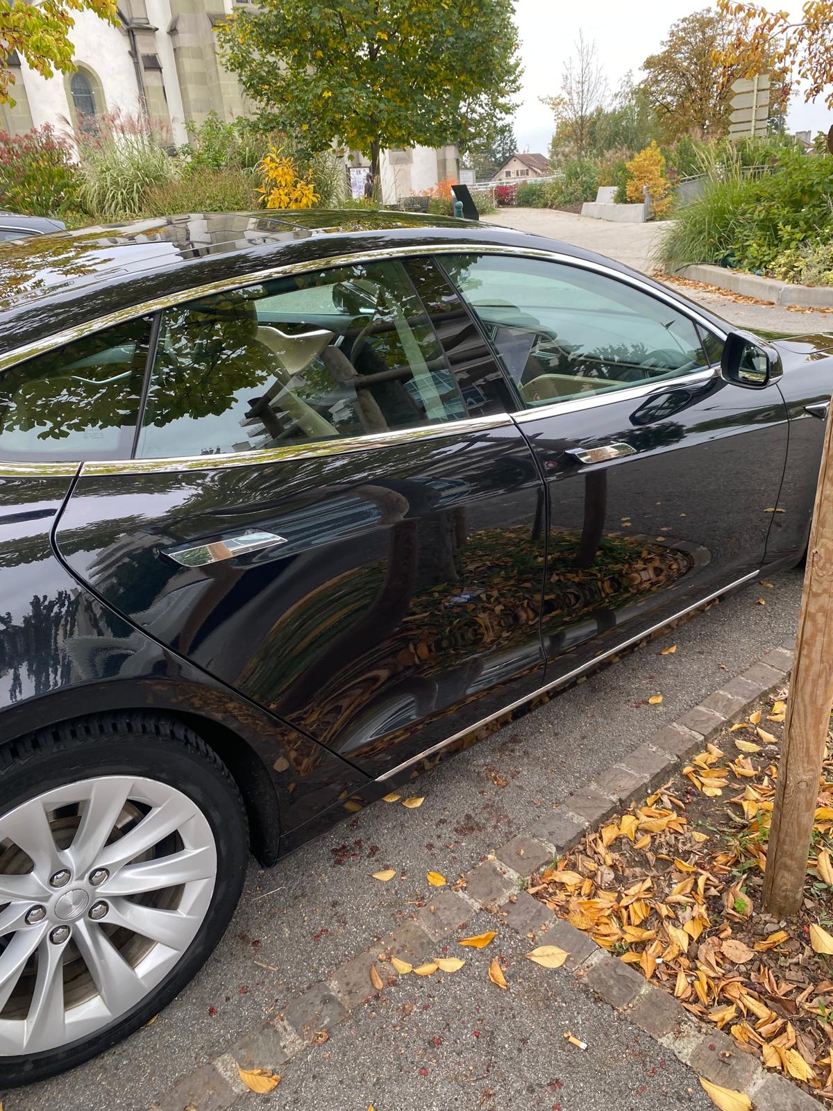 TESLA 75 D-image-3