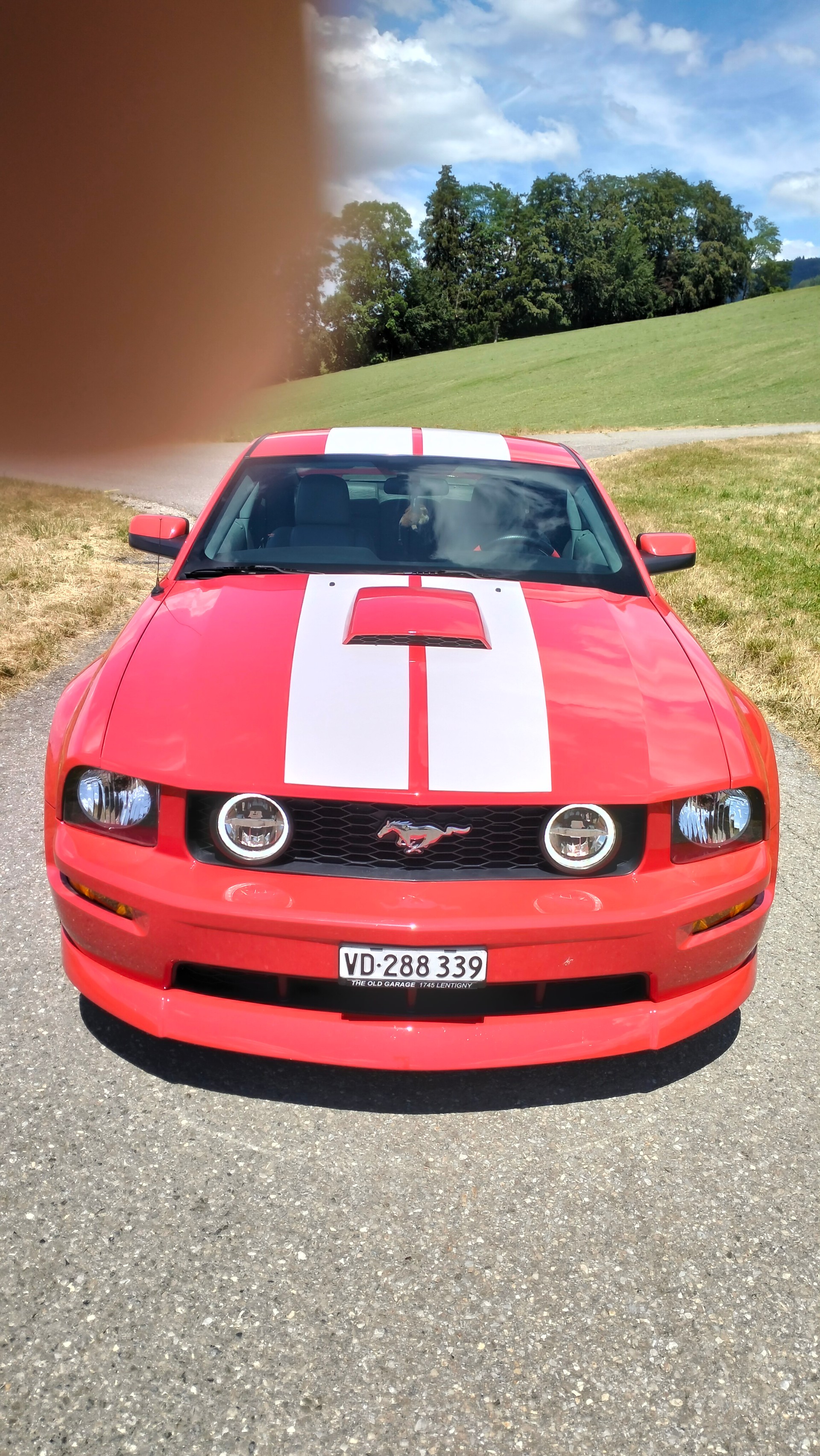 FORD 4.6 V8 Premium-image-1