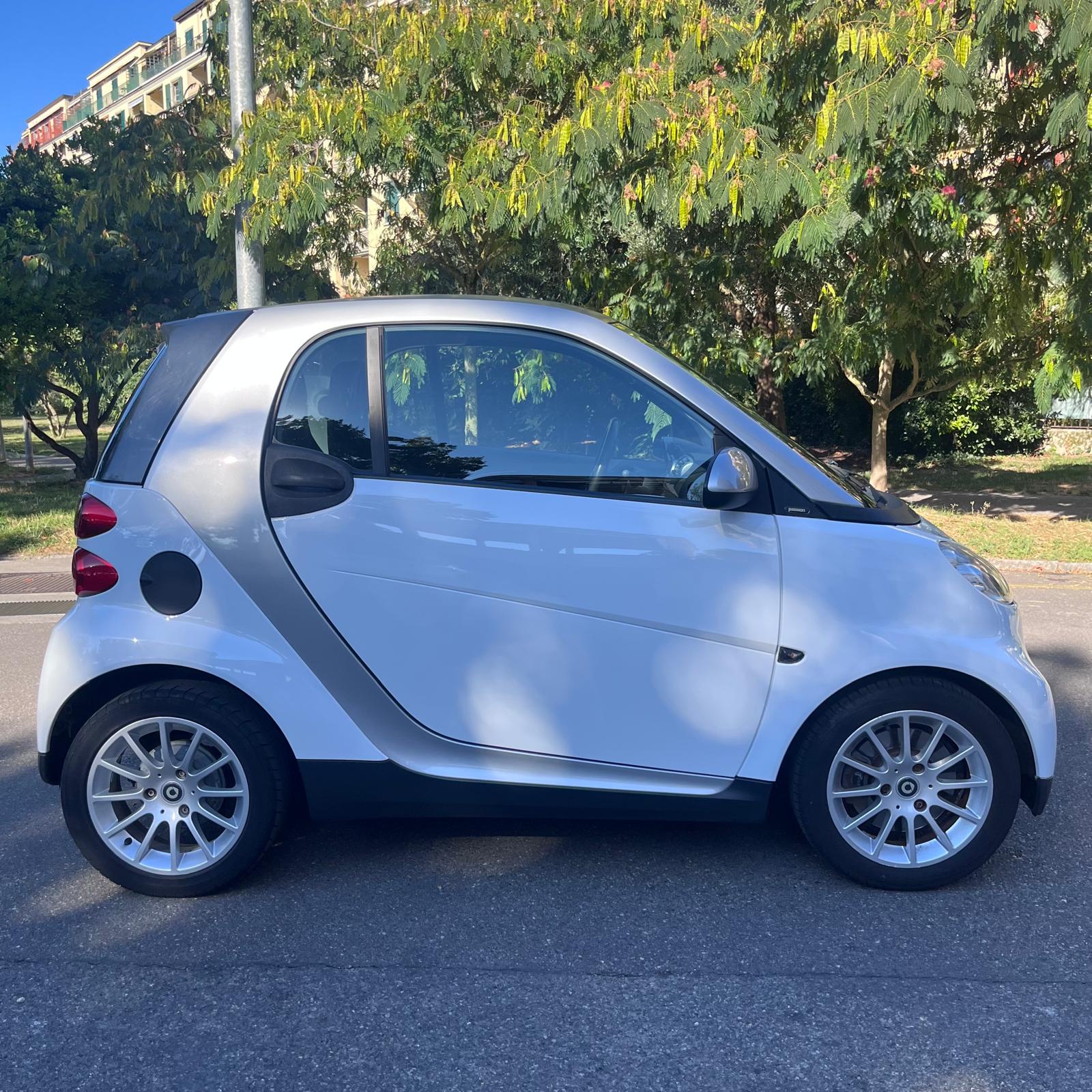 SMART 1000 84 Passion-image-1