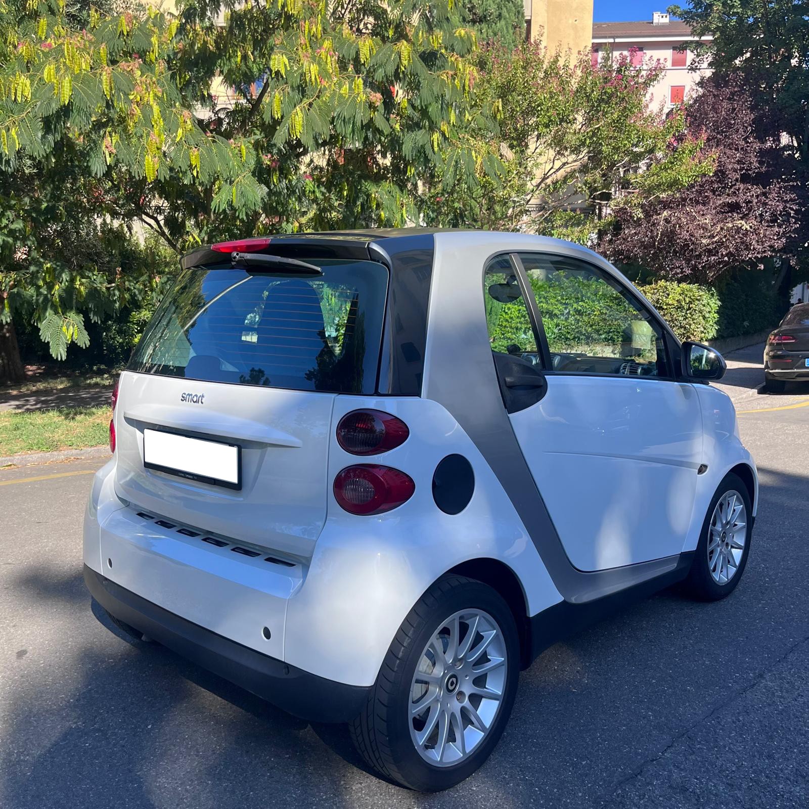 SMART 1000 84 Passion-image-3