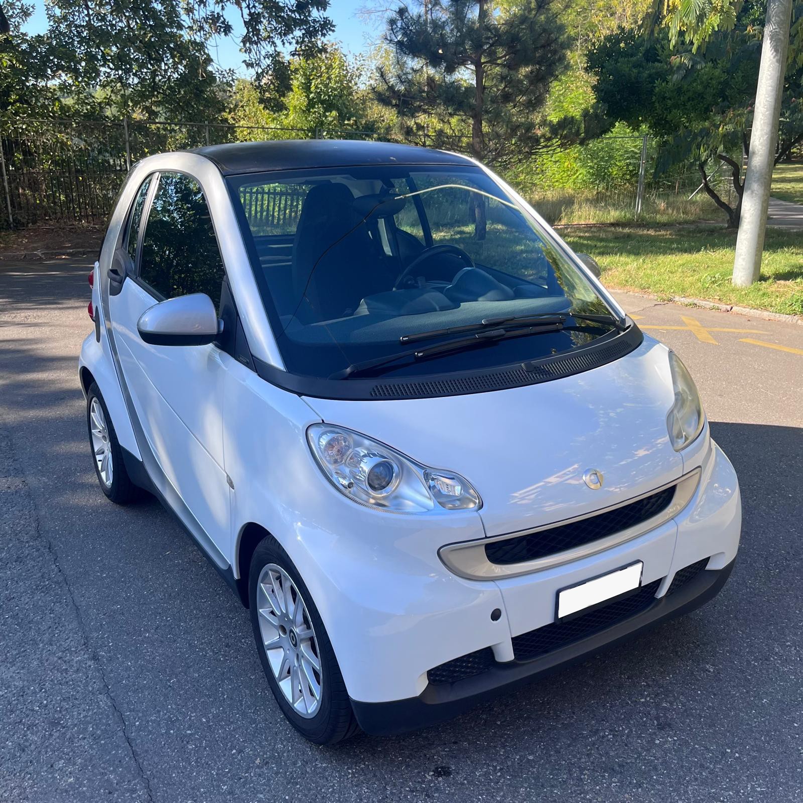SMART 1000 84 Passion-image-0