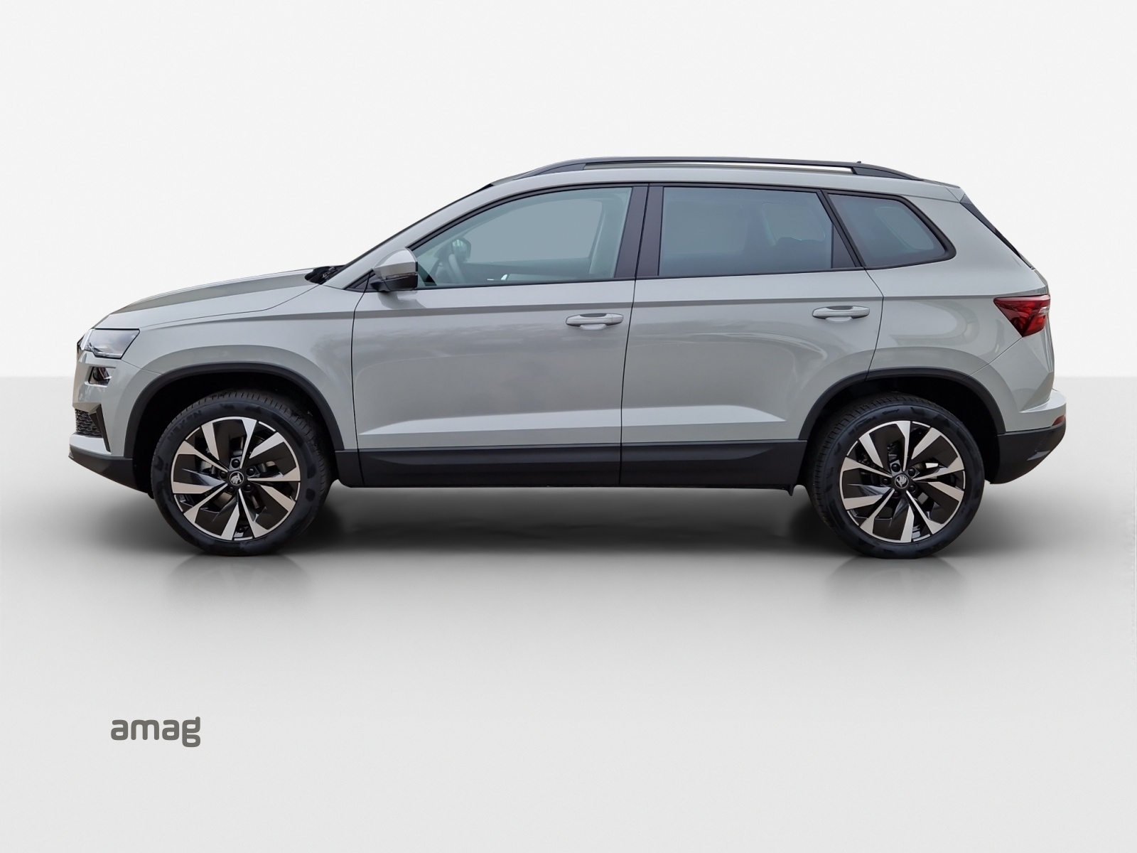 SKODA Karoq 1.5 TSI Selection DSG-image-1