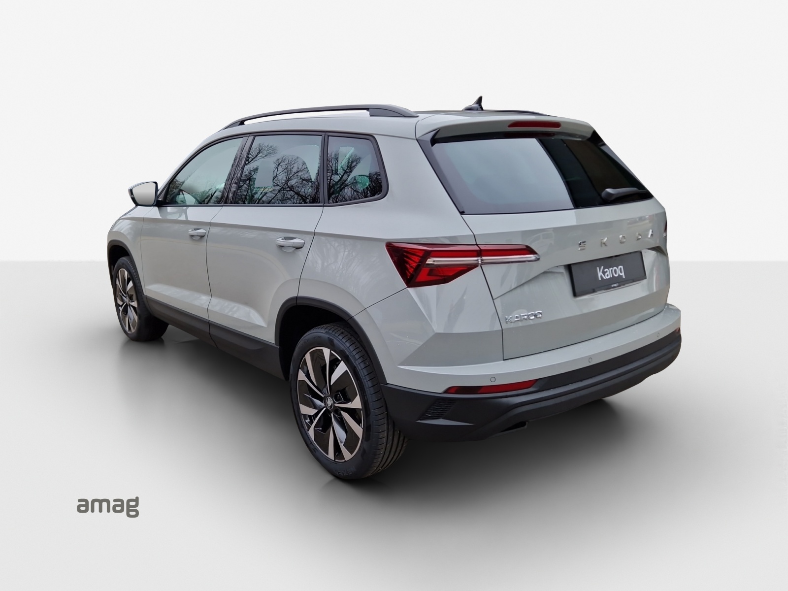 SKODA Karoq 1.5 TSI Selection DSG-image-2