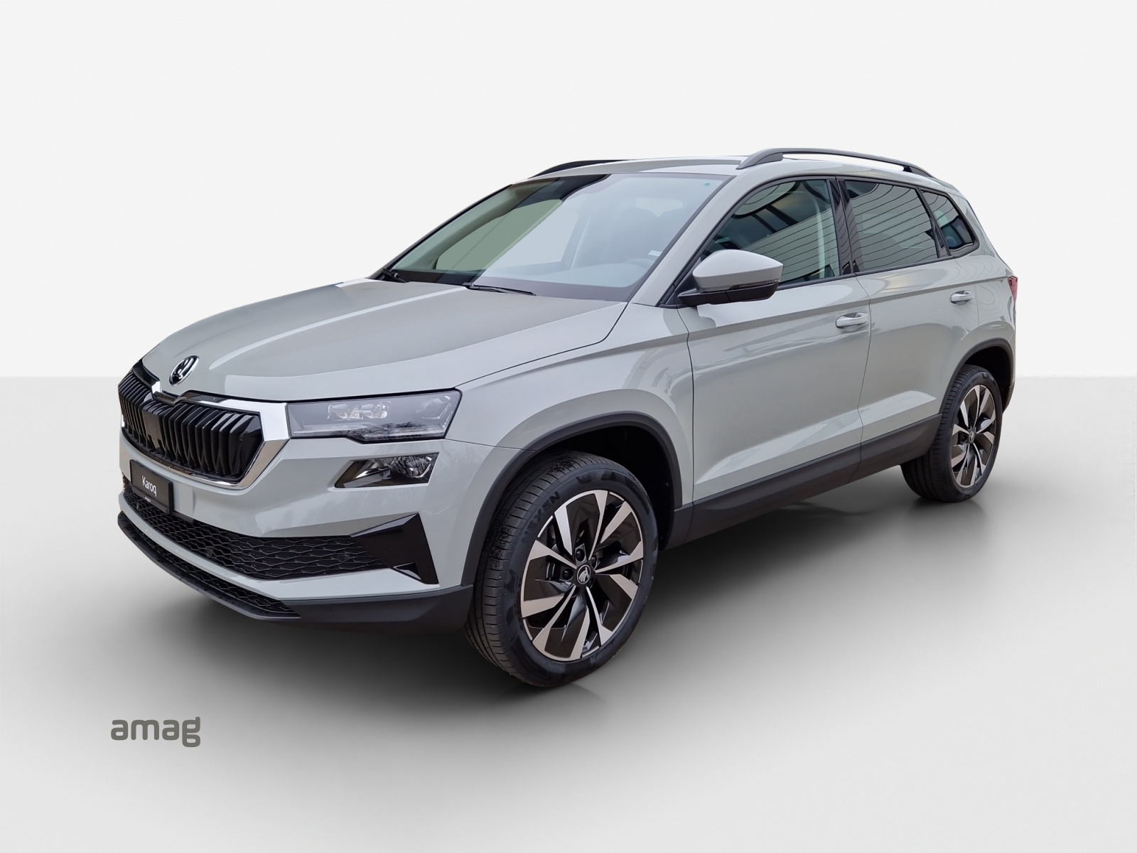 SKODA Karoq 1.5 TSI Selection DSG-image-0