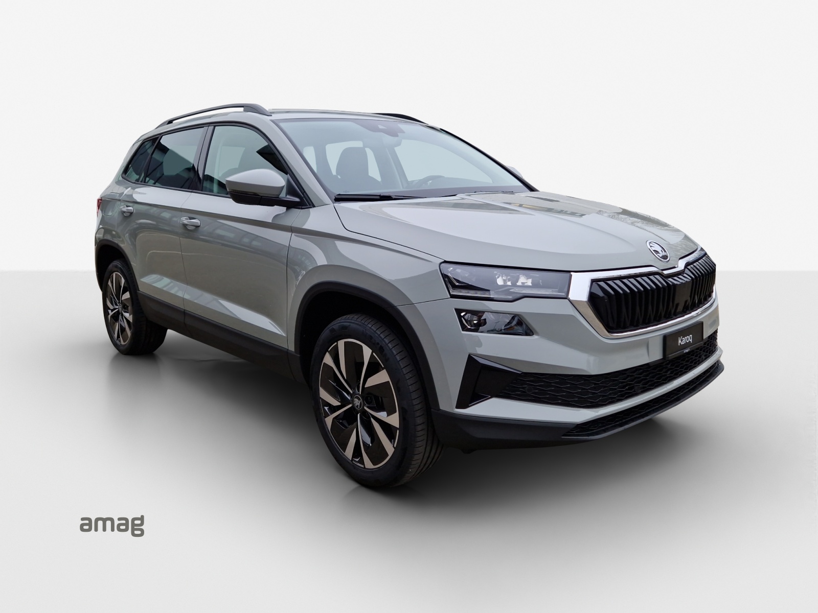 SKODA Karoq 1.5 TSI Selection DSG-image-5