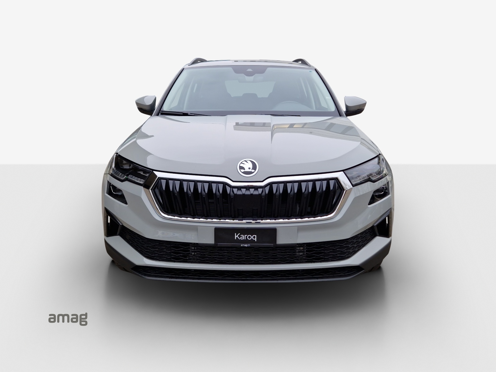SKODA Karoq 1.5 TSI Selection DSG-image-6
