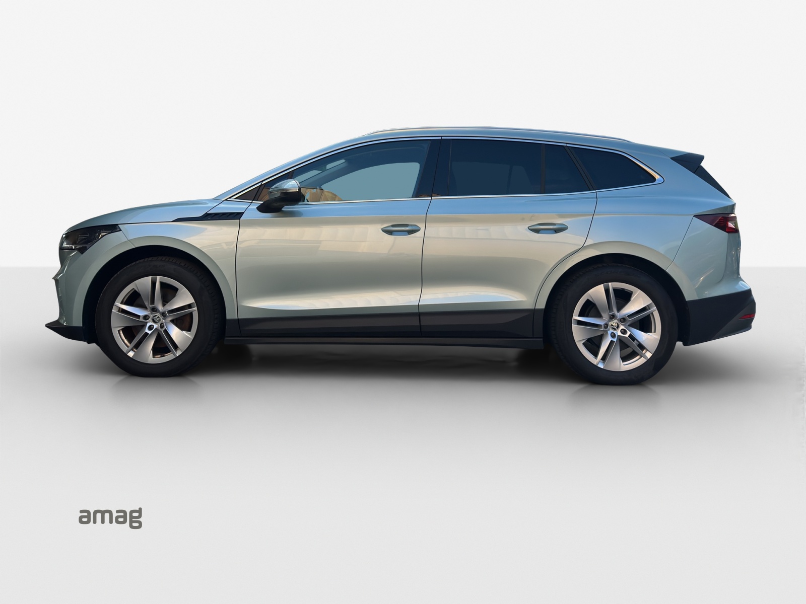 SKODA Enyaq iV 80x-image-2