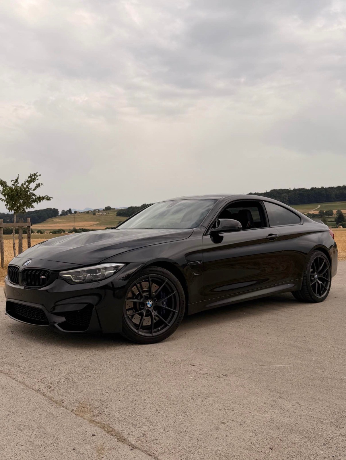 BMW Cs
