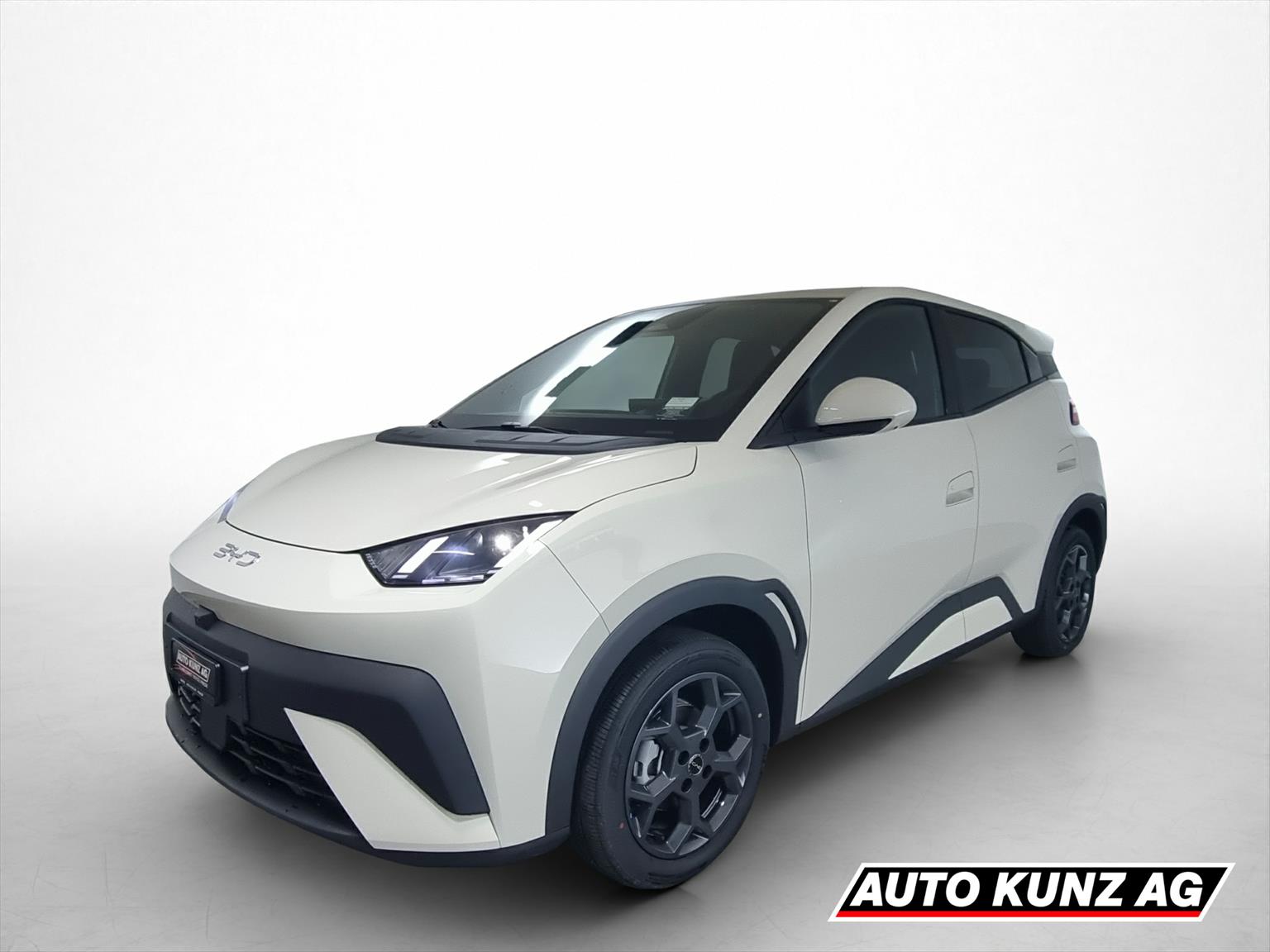 BYD Dolphin Surf 43kWh Comfort-image-0
