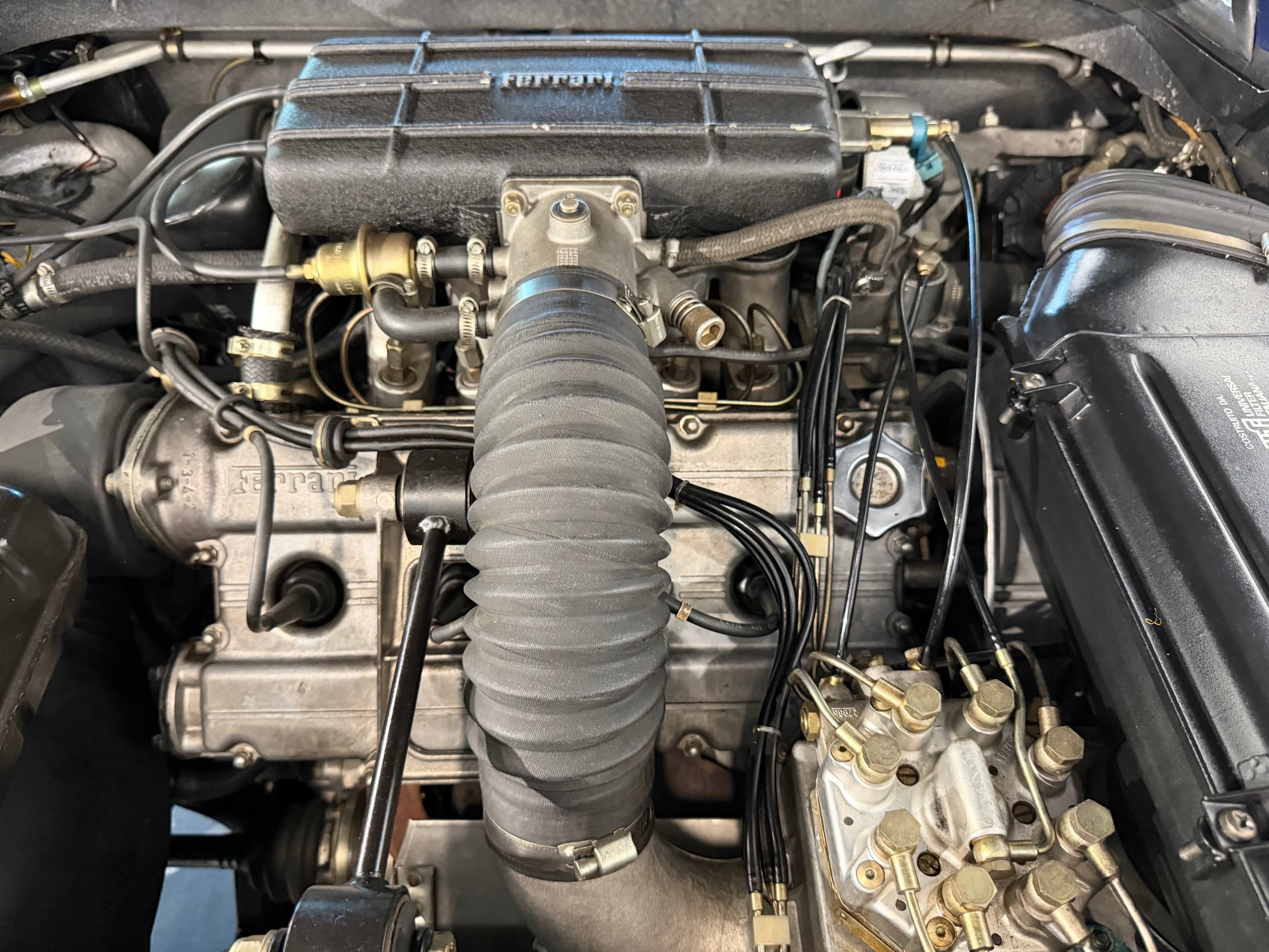 FERRARI GTBi-image-7