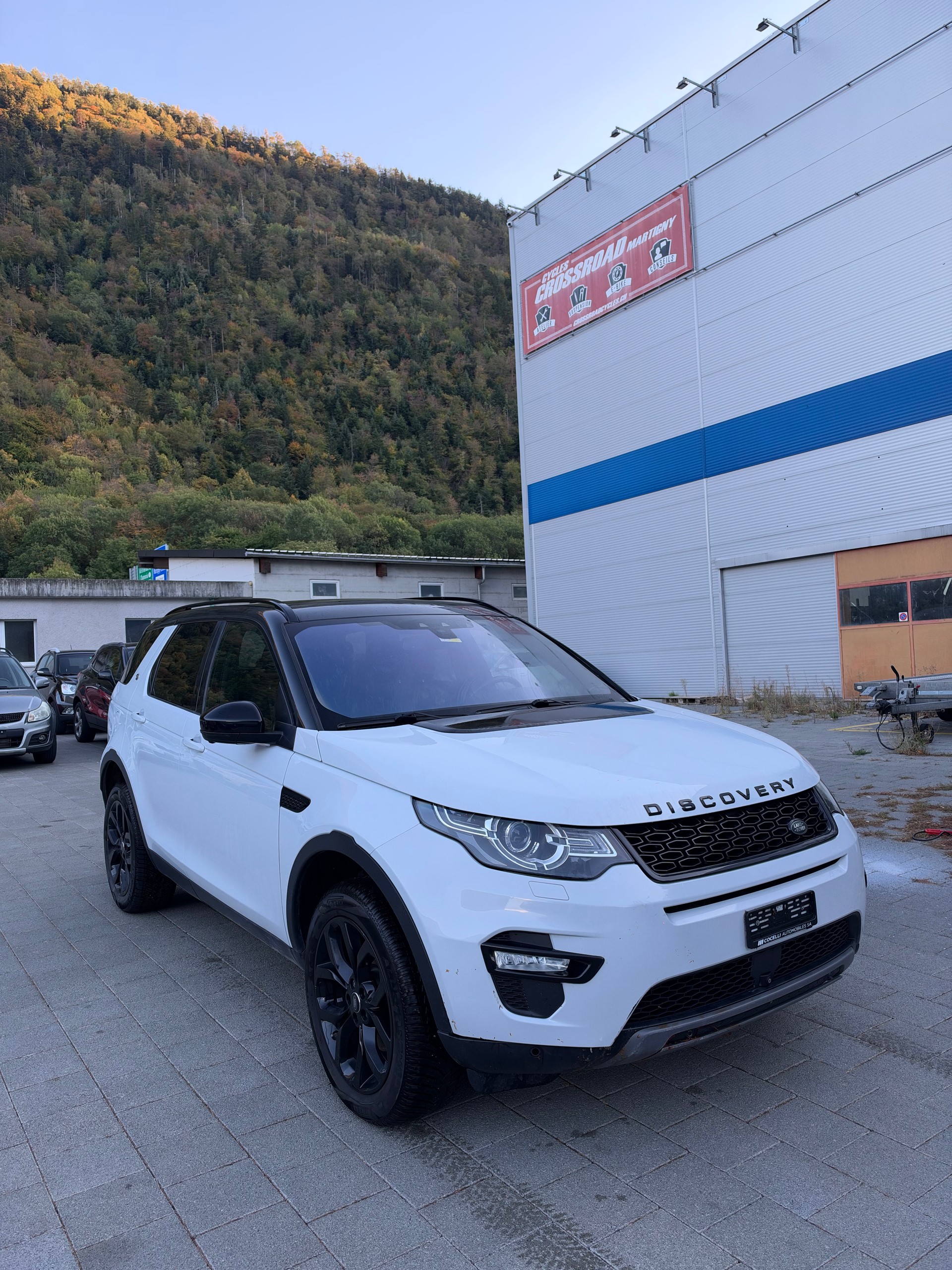 LAND ROVER Discovery Sport 2.0 TD4 HSE AT9-image-1