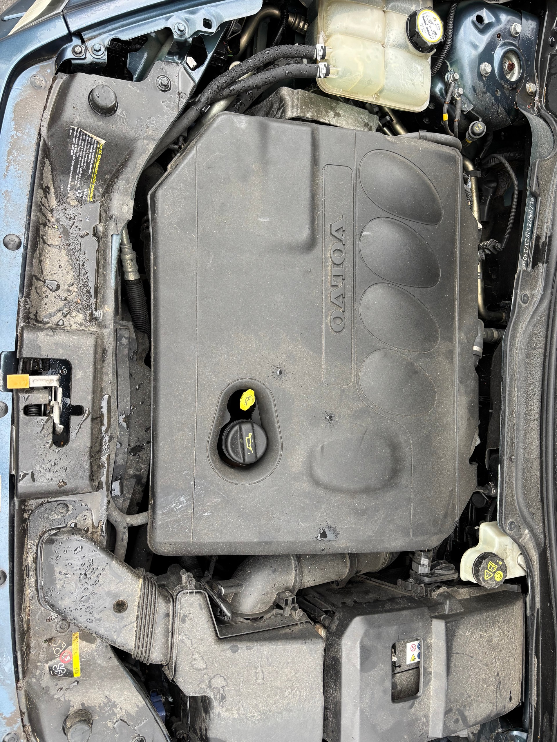 VOLVO V50 2.0D Kinetic-image-14