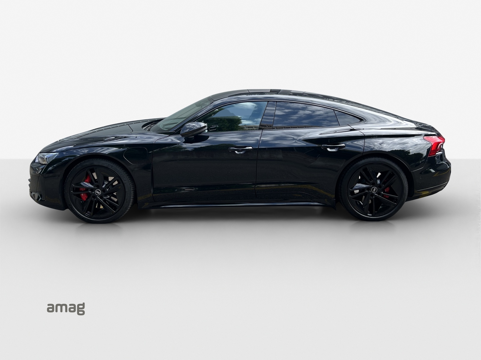 AUDI RS e-tron GT quattro-image-1